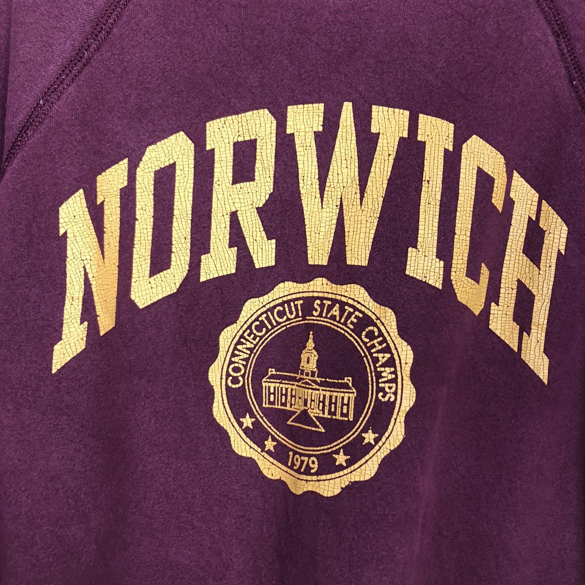 Champion Vintage Sweatshirt Champion Norwich Connecticut State Champ Size US L / EU 52-54 / 3 - 13 Thumbnail
