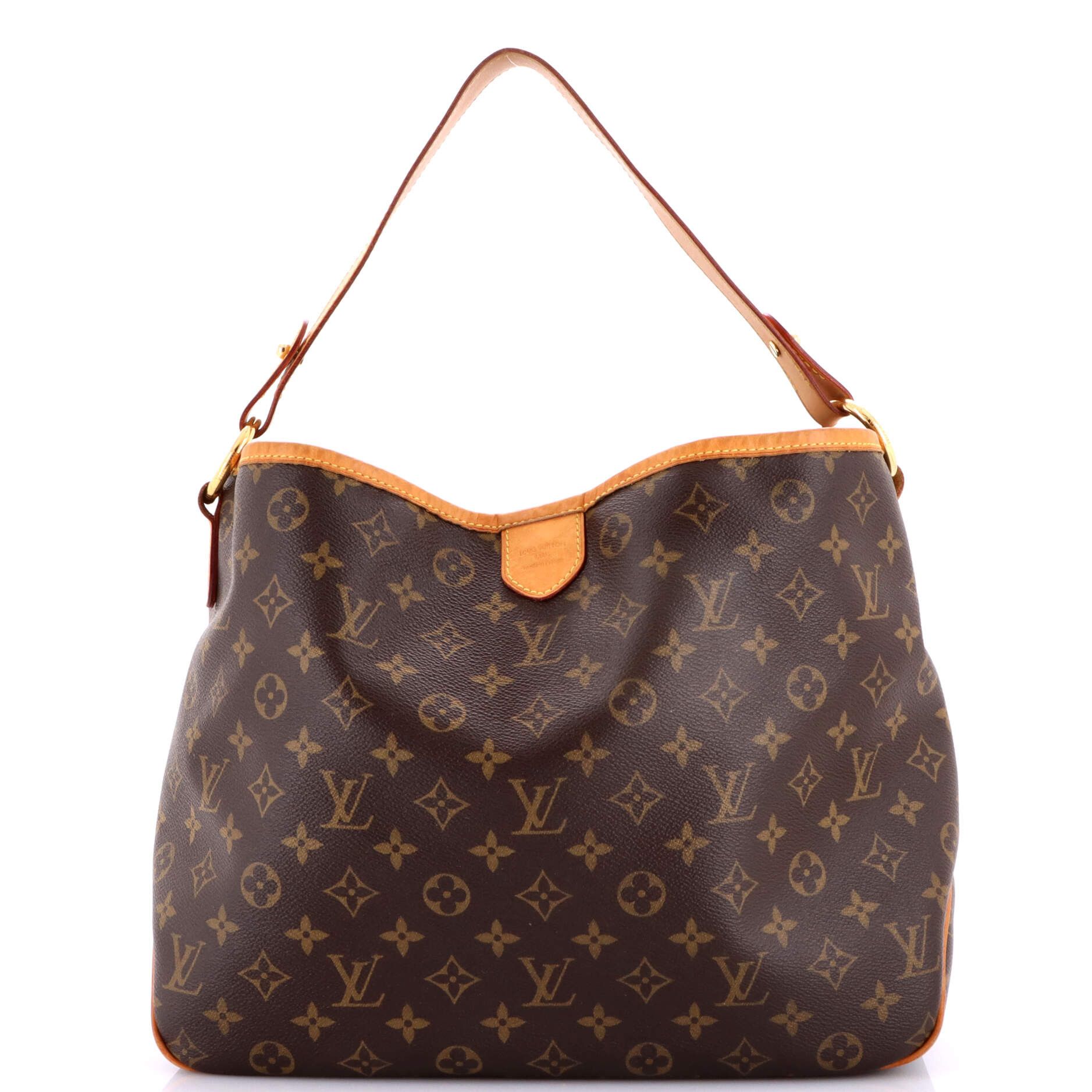 Louis Vuitton Delightful Handbag Size ONE SIZE - 1 Thumbnail