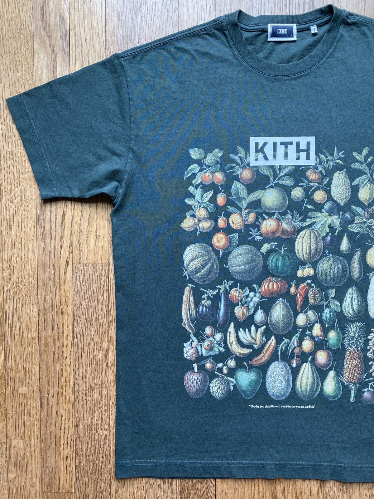 Kith Kith Plant Fruit Pumpkin Seed Tee Sz S Size US S / EU 44-46 / 1 - 1 Thumbnail