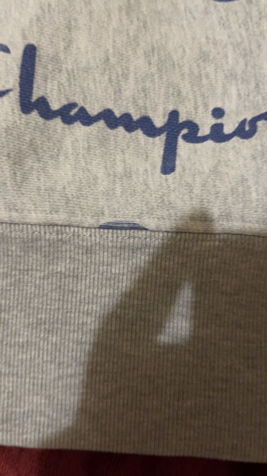 Champion Champion Reverse Weave Hoodie Gray All Over Size US S / EU 44-46 / 1 - 5 Thumbnail