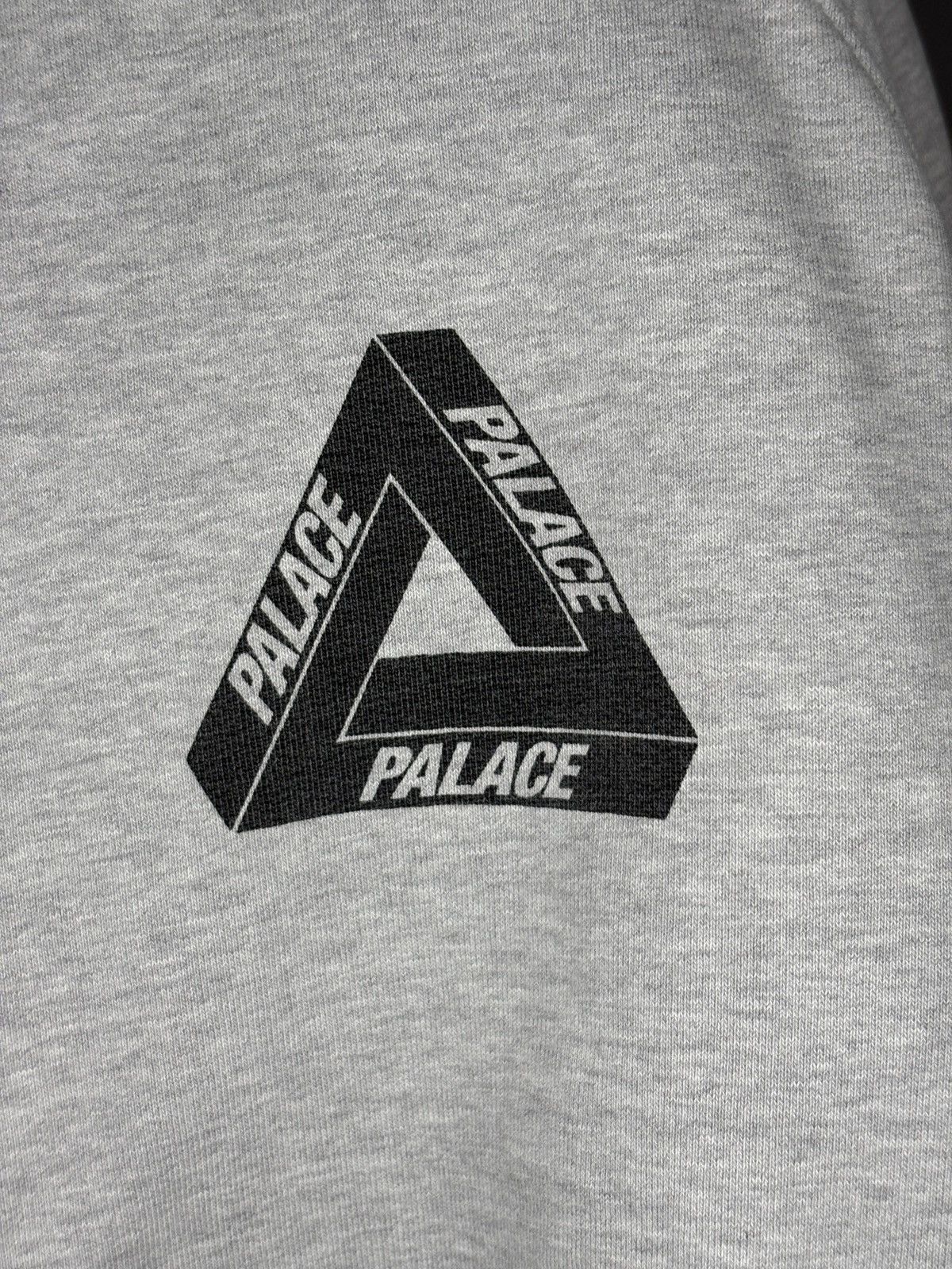 Palace Palace Ragu Zip Hood Size US L / EU 52-54 / 3 - 4 Thumbnail
