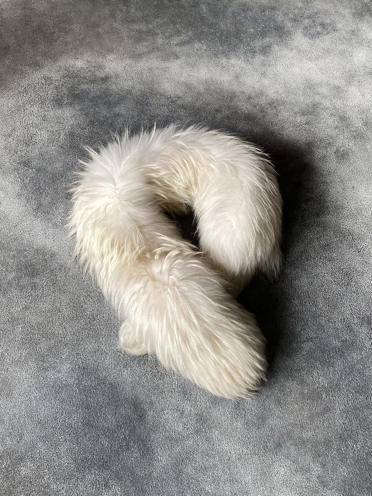 Rossignol 2014 Alexander McQueen Real Fur Finnraccoon Scarf Collar Size ONE SIZE - 2 Thumbnail