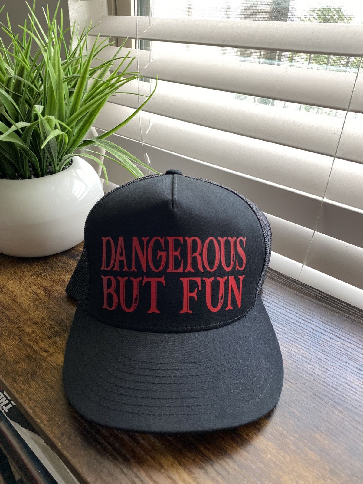 Other Funny Dangerous But Fun Trucker Hat Size ONE SIZE - 1 Thumbnail