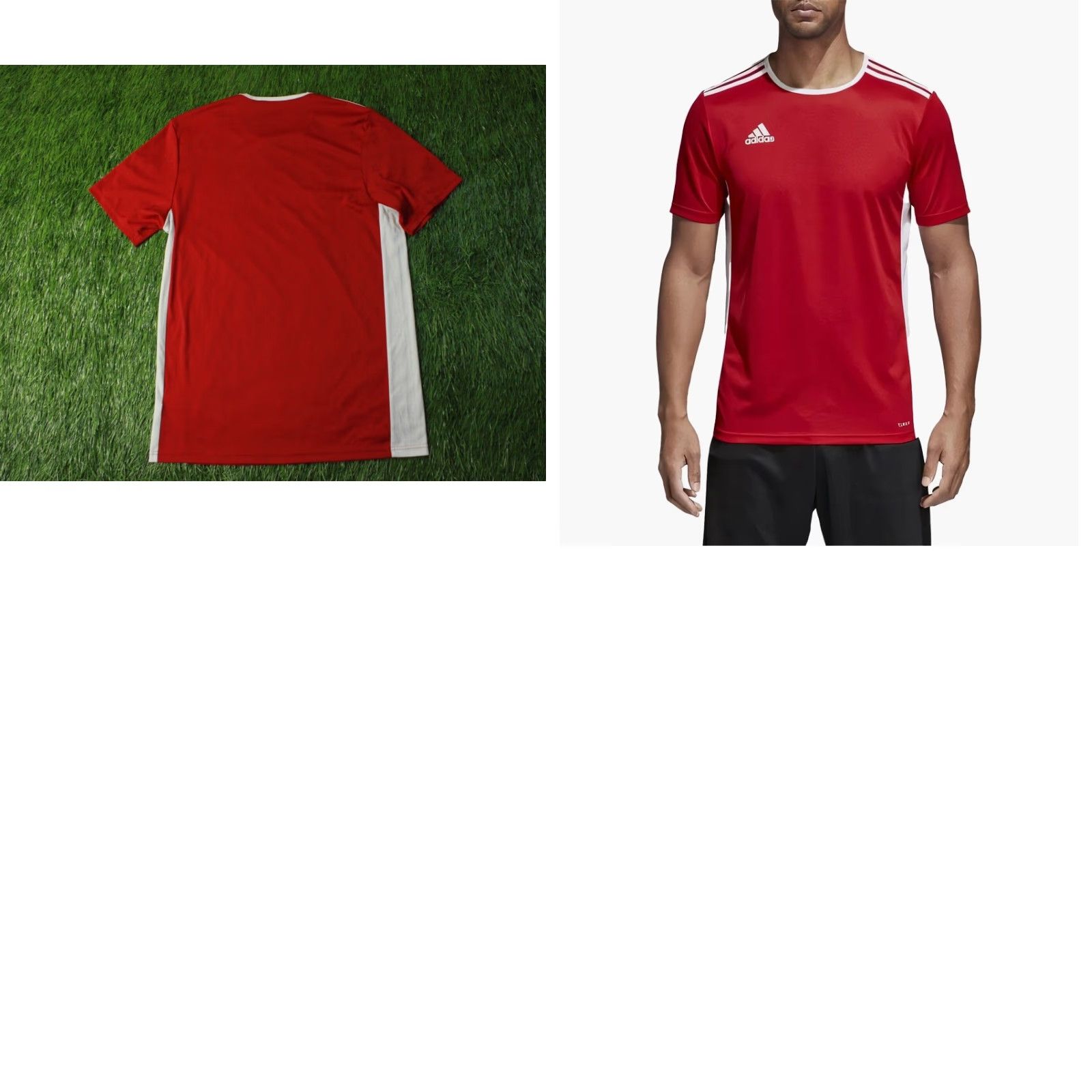 Adidas ADIDAS PERFORMANCE SHIRT Men Football Short Sleeve Size M Red and White 2019 Entrada Size US M / EU 48-50 / 2 - 8 Thumbnail