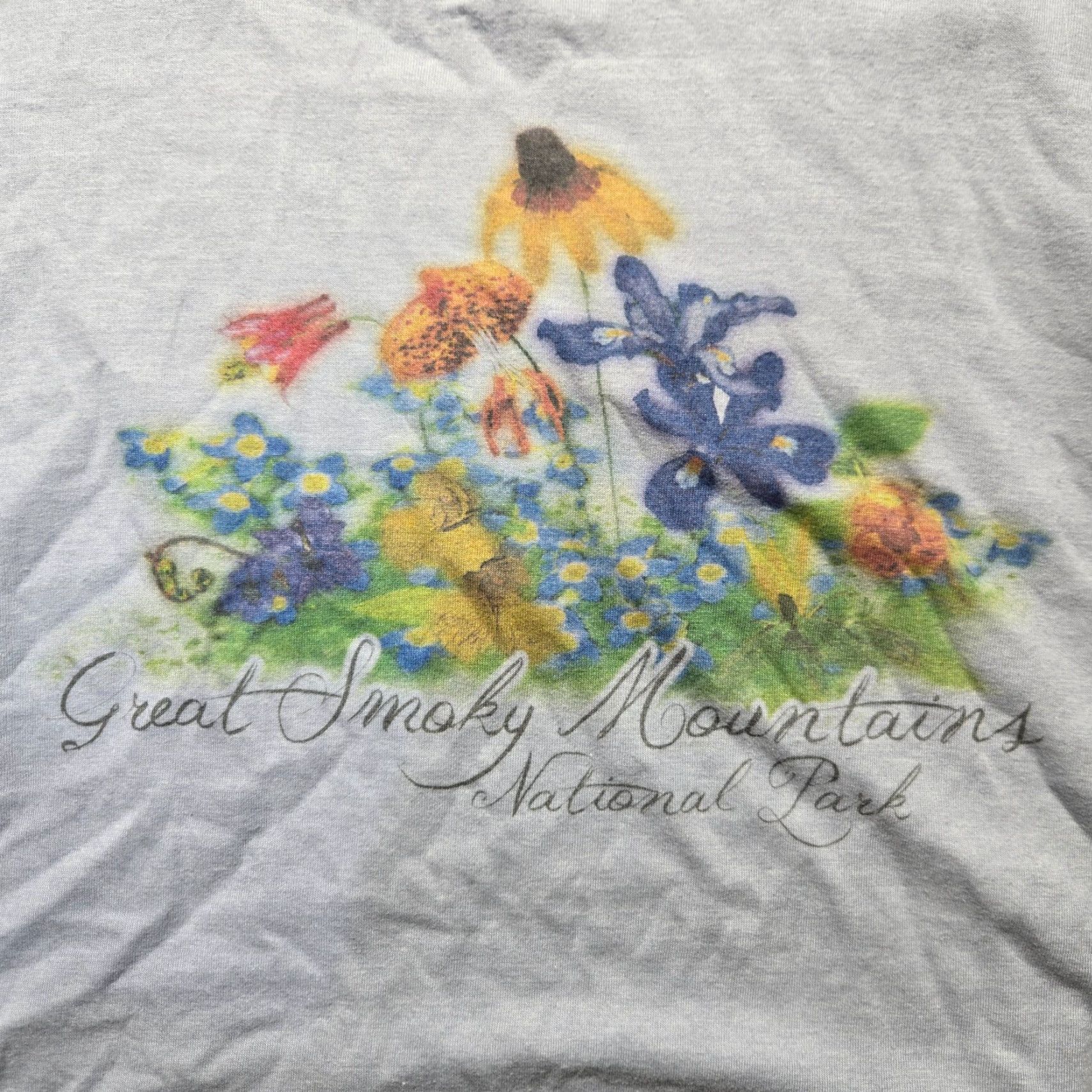Next Level Great Smokey Mountains National Park Tennessee TN Tee T-Shirt Adult Men's XL Blue Cotton Jersey Graphic Print Smoky Mountains Logo Shirt 80s? Size US XL / EU 56 / 4 - 2 Thumbnail