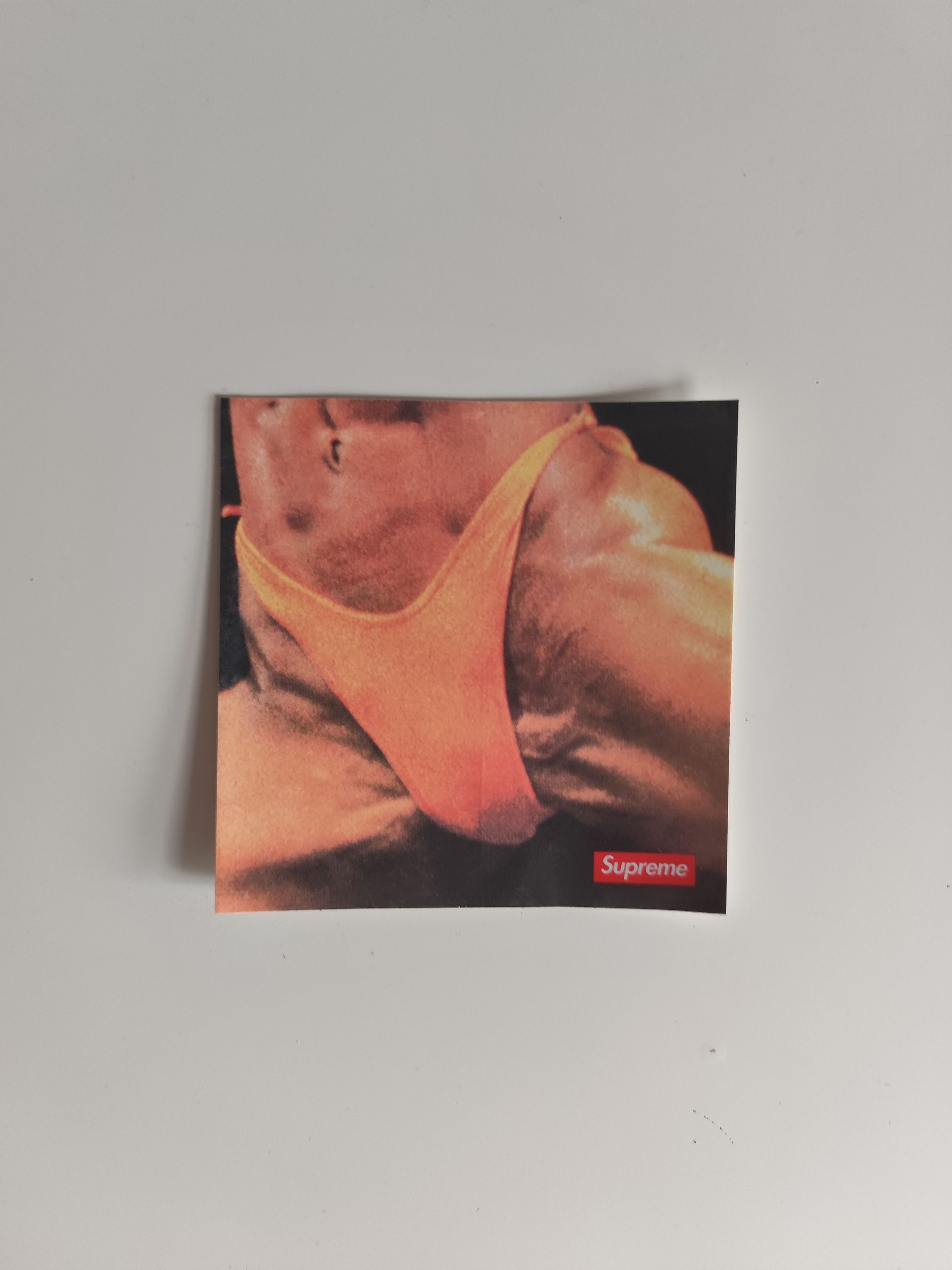 Supreme Supreme pussy sticker Size ONE SIZE - 1 Thumbnail