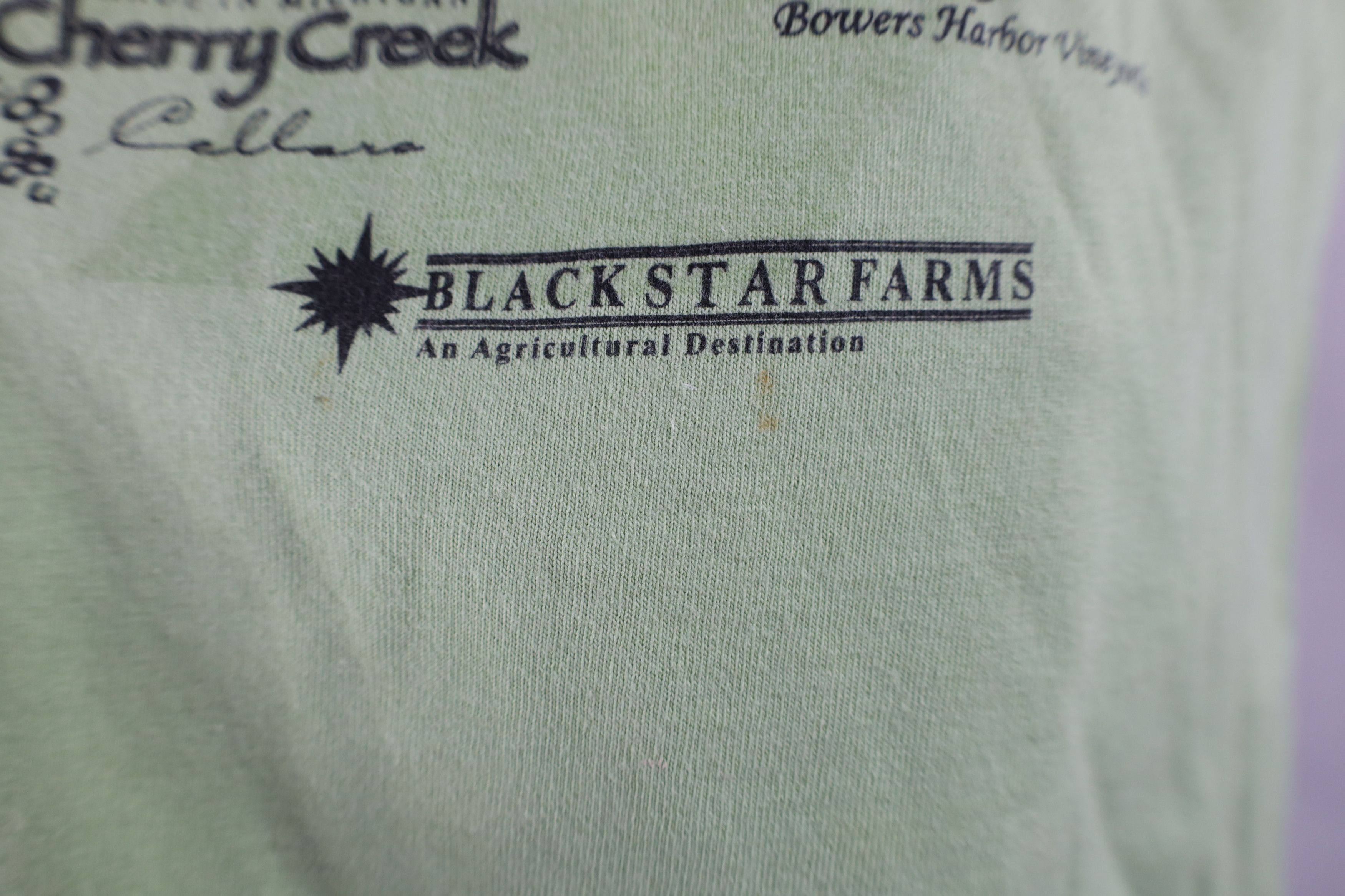 Vintage Vintage Y2K Streetwear Wineries of Michigan T-Shirt Lime Size US M / EU 48-50 / 2 - 7 Thumbnail