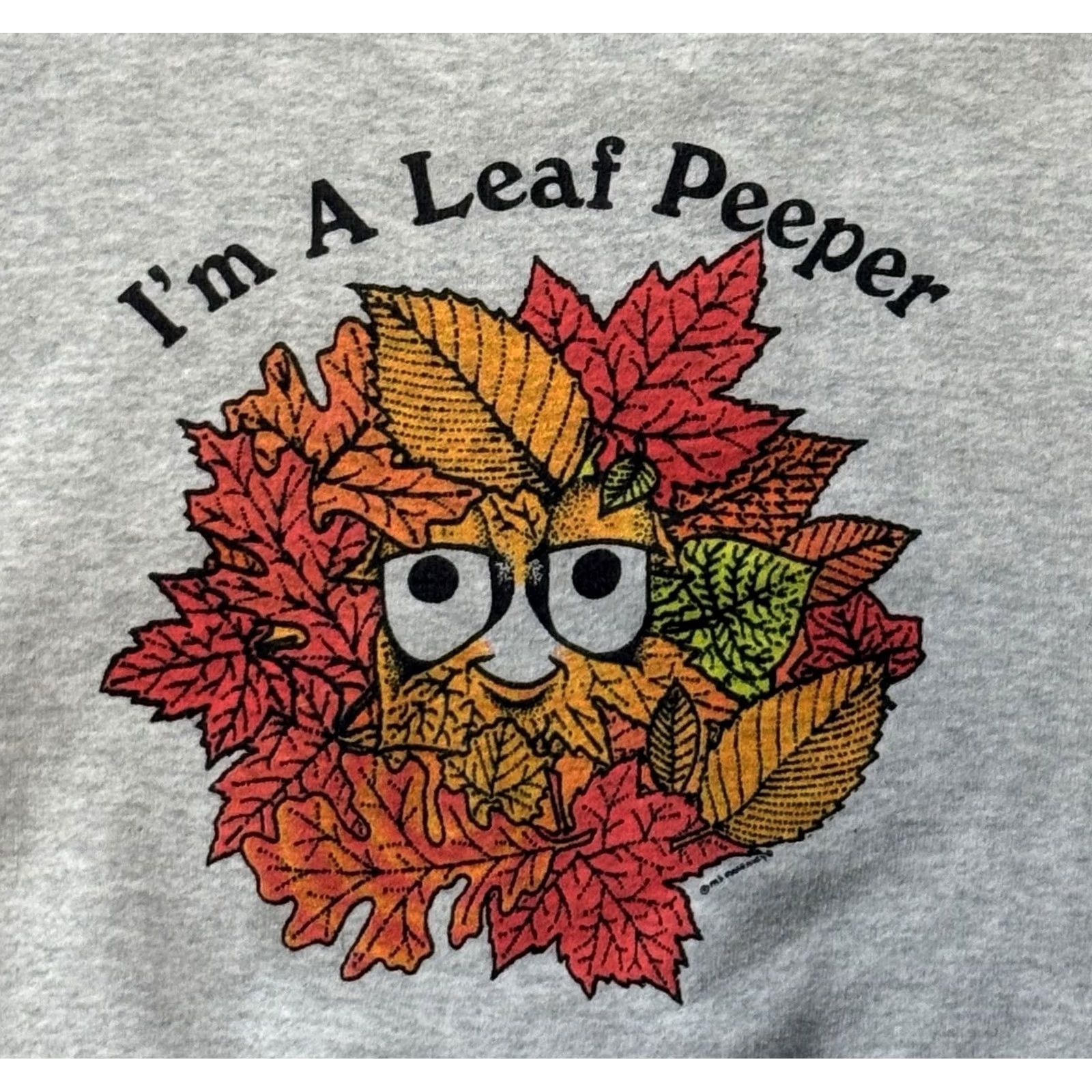 Fruit Of The Loom VINTAGE Leaf Peeper Crewneck Sweatshirt Large Gray Cotton Polyester 90s Nature Graphic Print Fruit of the Loom Unisex Adults Sweatshirt Mens Womens Size US L / EU 52-54 / 3 - 3 Thumbnail
