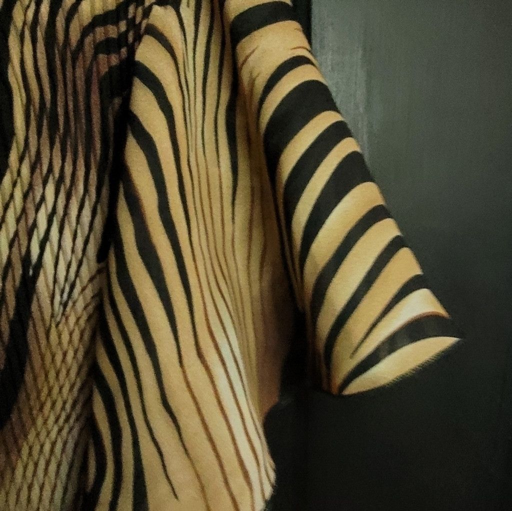 Other Dressbarn woman, NWOT, black & tan stripe blouse,14/16. Size XXL / US 16-18 / IT 52-54 - 5 Thumbnail