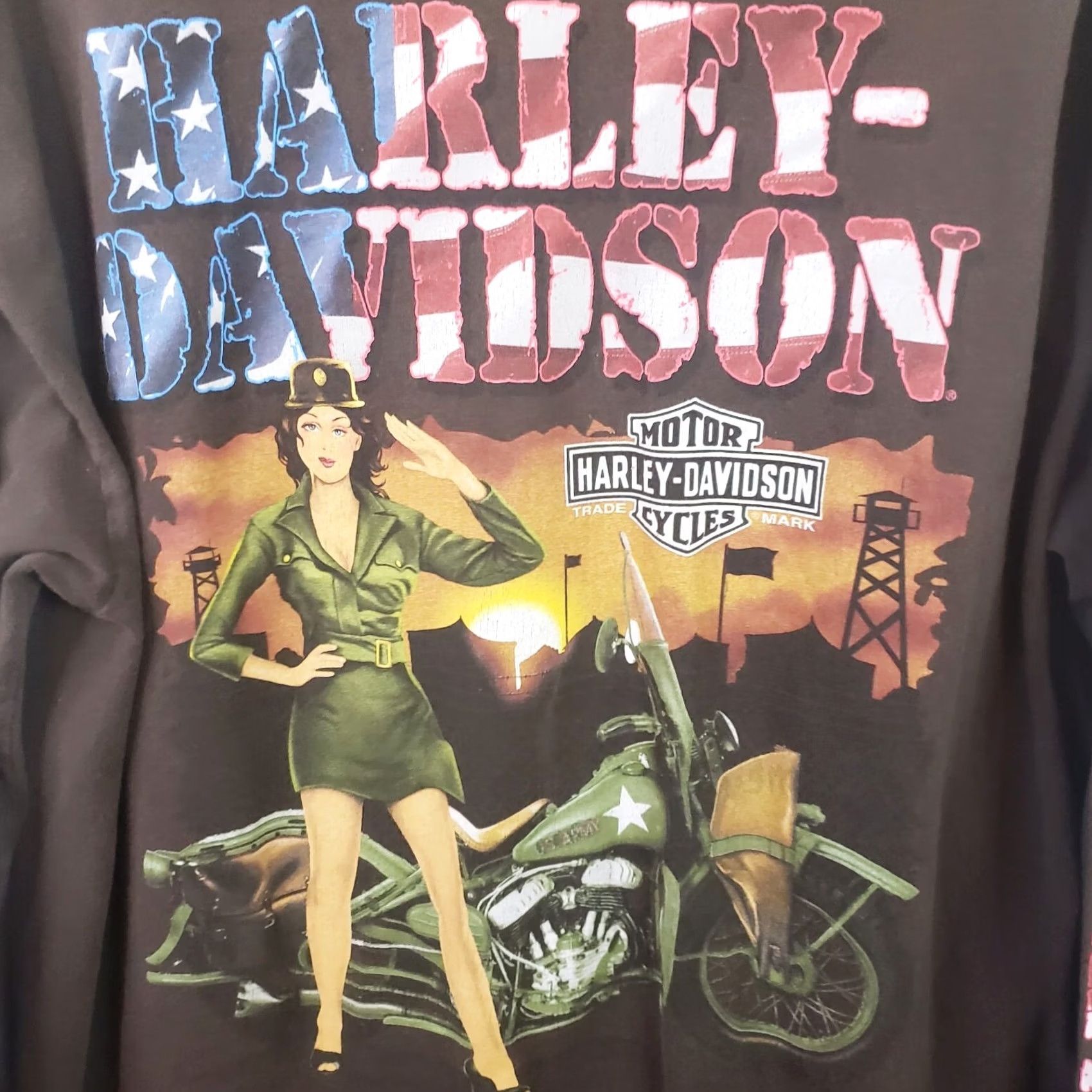 Harley Davidson Harley-Davidson Shirt Mens XL Brown Patriotic USA Graphic Print Double-Sided Crew Neck Short Sleeve T-Shirt Size US XL / EU 56 / 4 - 3 Thumbnail