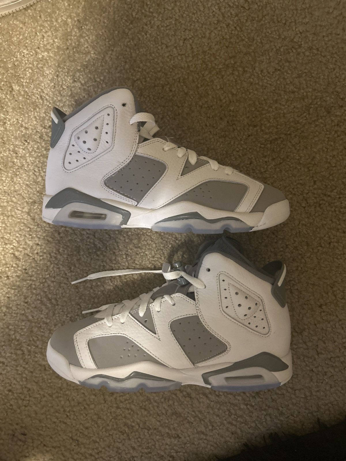Jordan Brand Cool Grey Jordan 6s Size US 6 / EU 39 - 1 Thumbnail