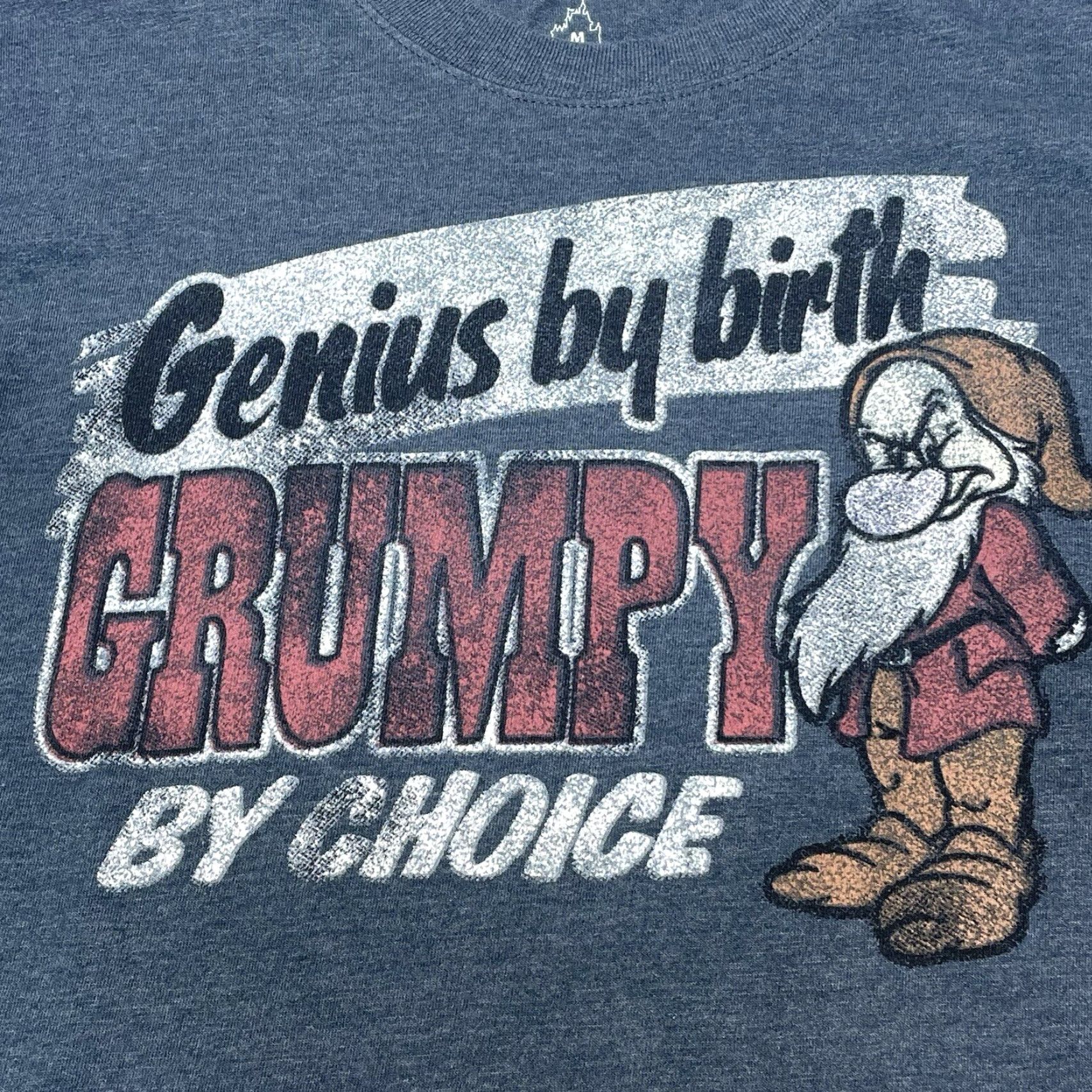 Hanes VINTAGE Hanes T-Shirt Men Medium Gray Cotton Blend Short Sleeve Disneyland “Genius By Birth Grumpy By Choice” Size US M / EU 48-50 / 2 - 2 Thumbnail