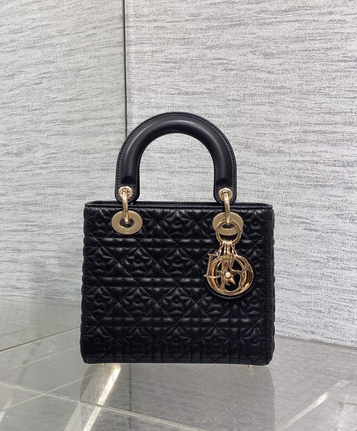 Dior Lady Dior Bag Christian Dior Size ONE SIZE - 1 Thumbnail