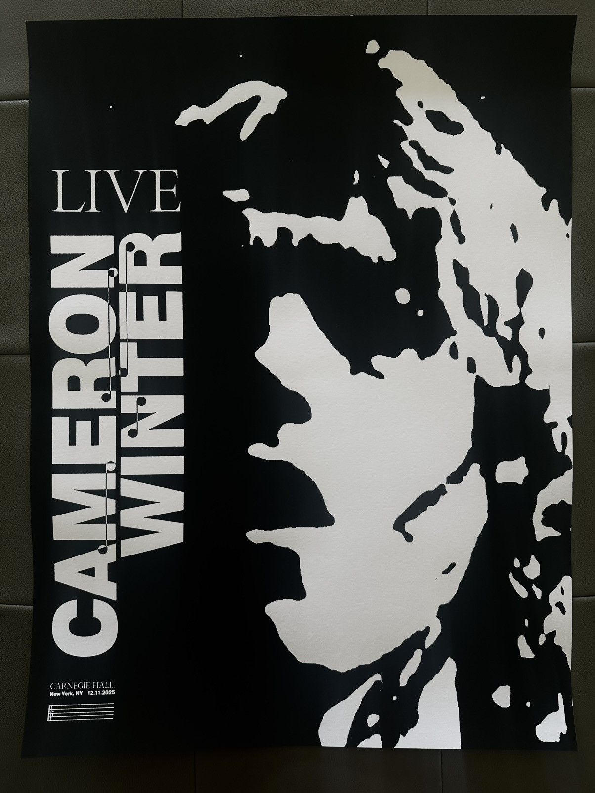 Arts & Science CAMERON WINTER CARNEGIE HALL POSTER NEW YORK PTA 12 11 2025 Size ONE SIZE - 1 Thumbnail