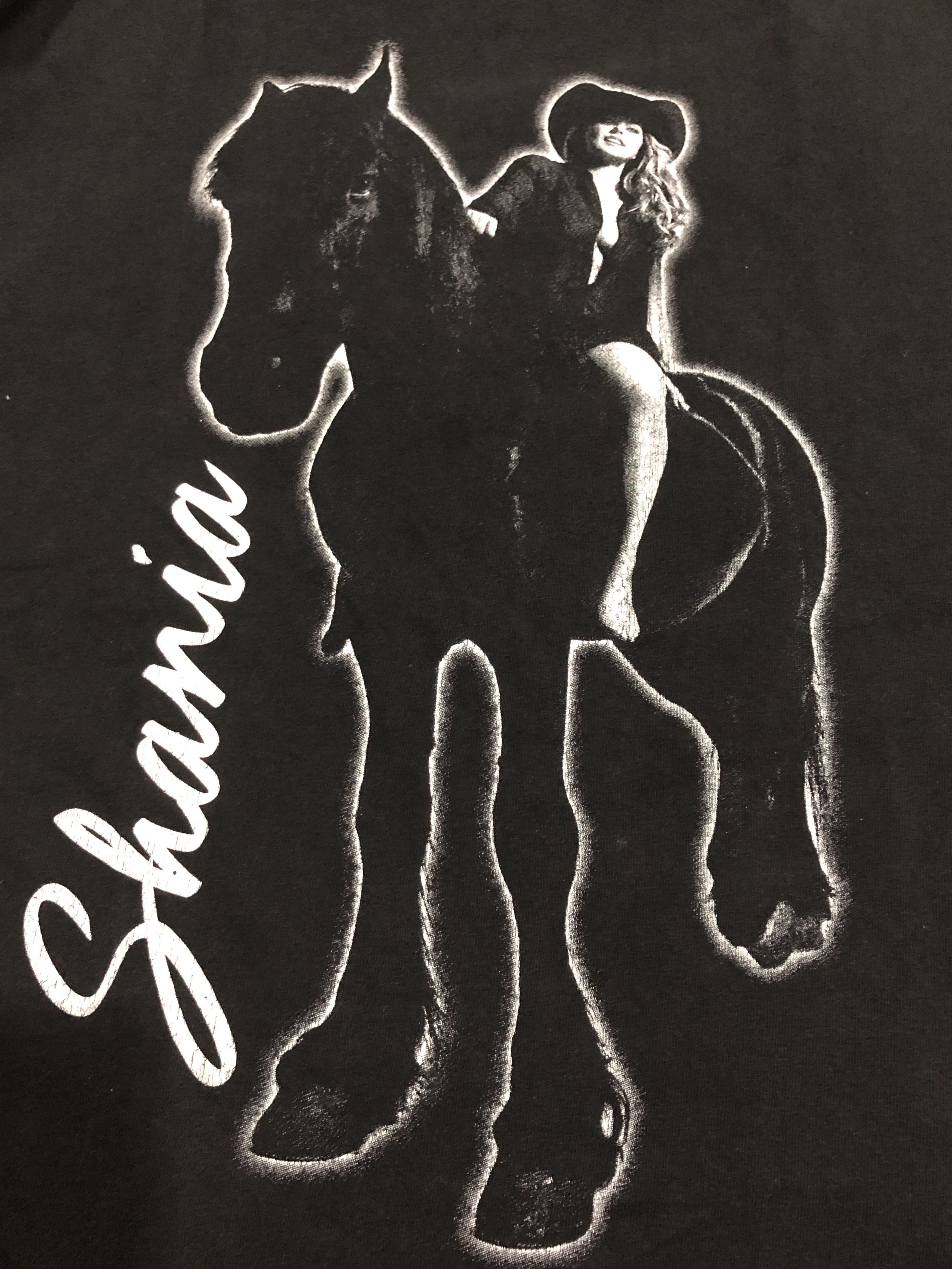 Band Tees × Vintage Vintage Shania Twain Tour Tshirt Size US XL / EU 56 / 4 - 3 Thumbnail