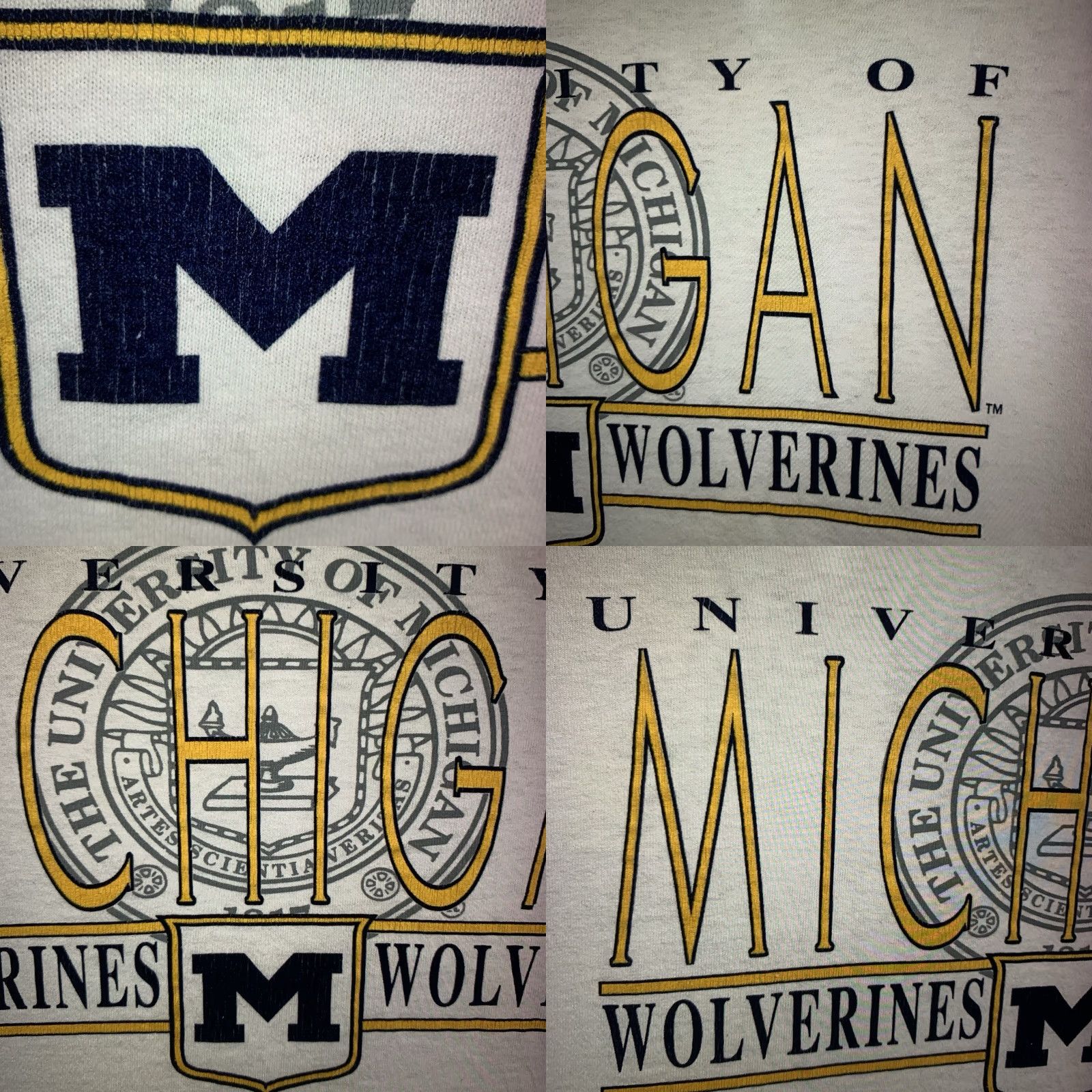 Jansport VINTAGE JanSport University of Michigan Wolverines T-Shirt Mens Large White 90s Retro Sports Cotton Size US L / EU 52-54 / 3 - 8 Thumbnail