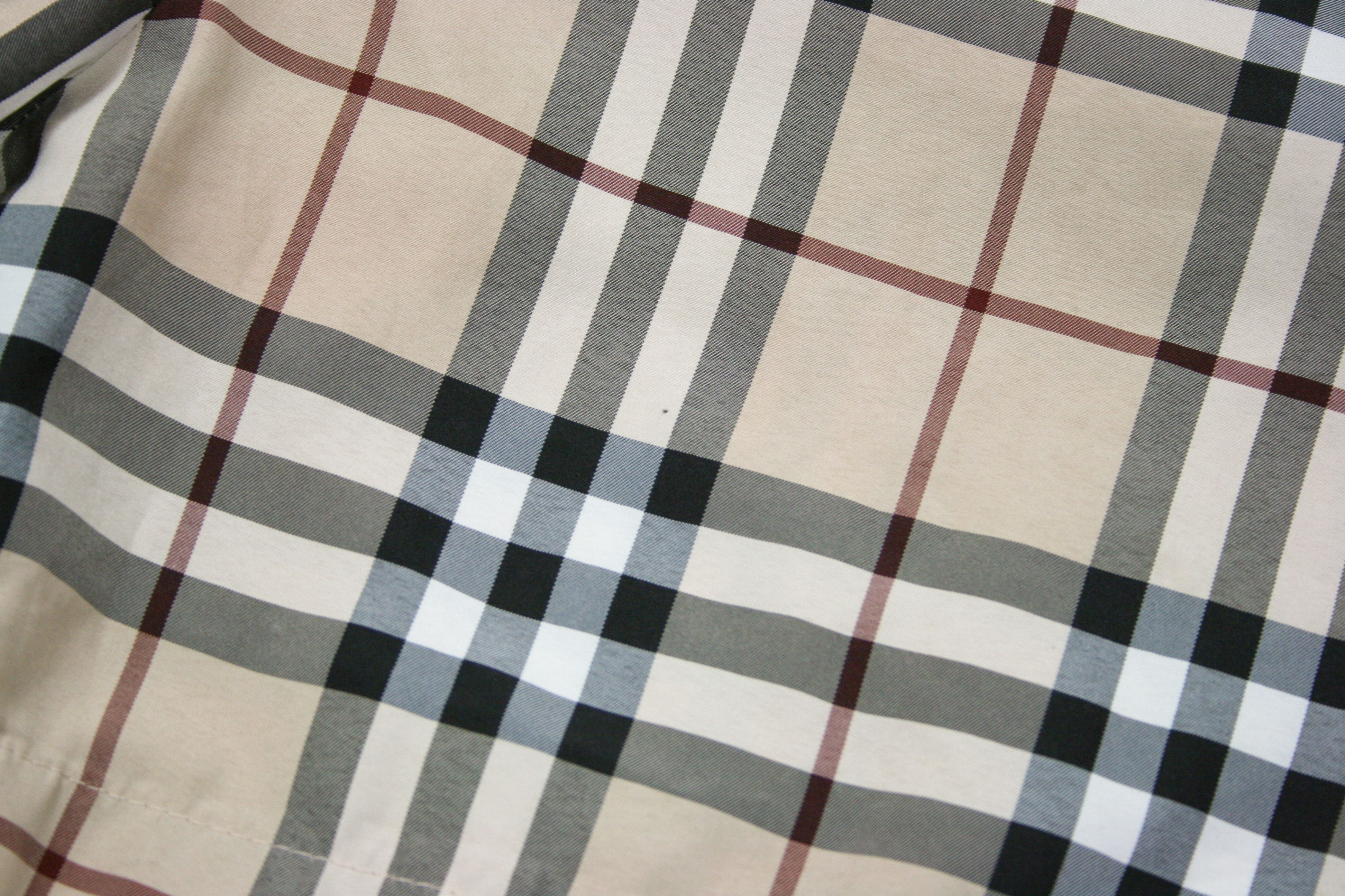Burberry 00S Nova Check Swim Shorts Vintage Size US 30 / EU 46 - 4 Thumbnail
