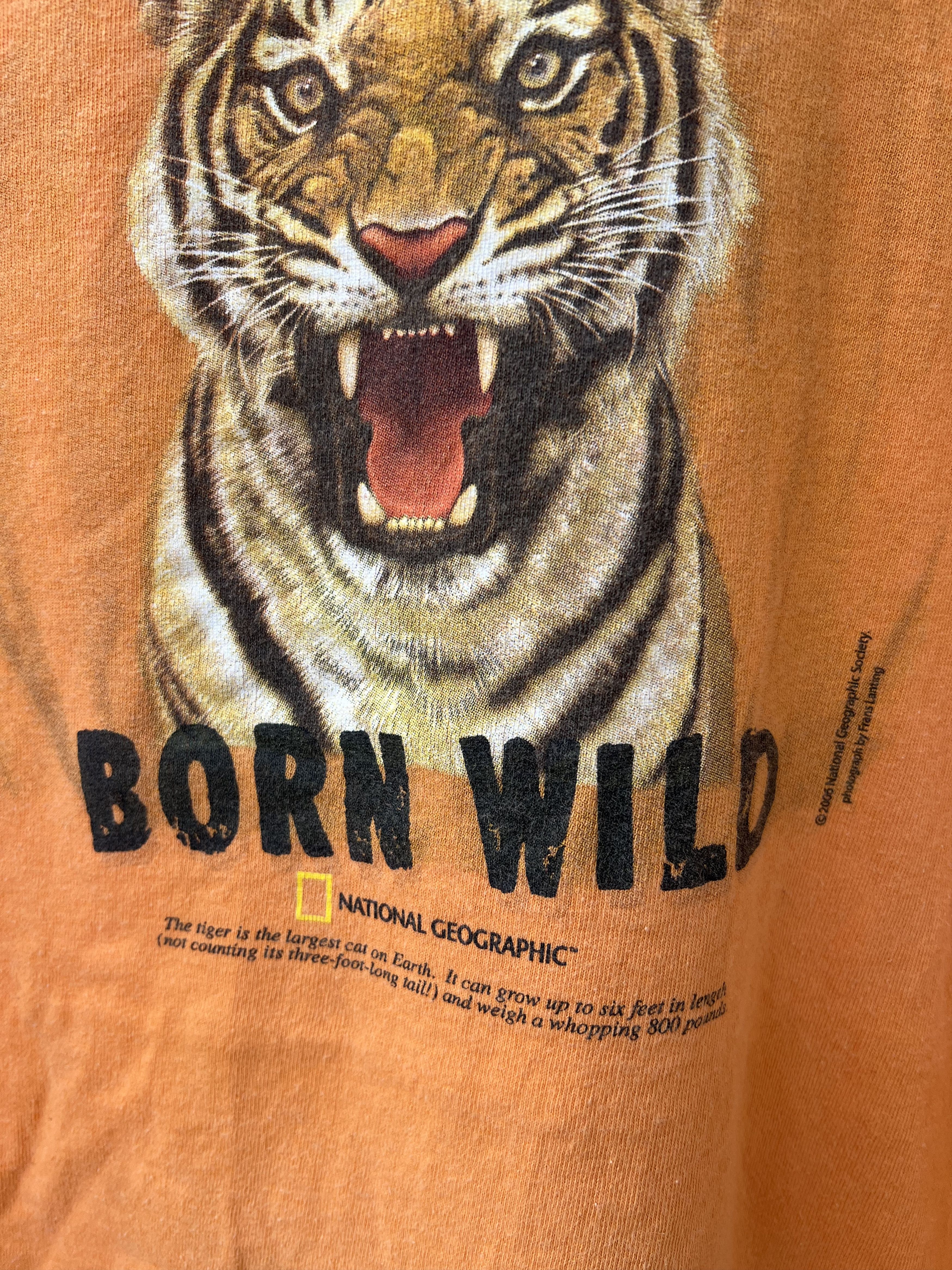 Disney 2006 National Geographic Tiger T-Shirt Nat Geo Size US L / EU 52-54 / 3 - 4 Thumbnail