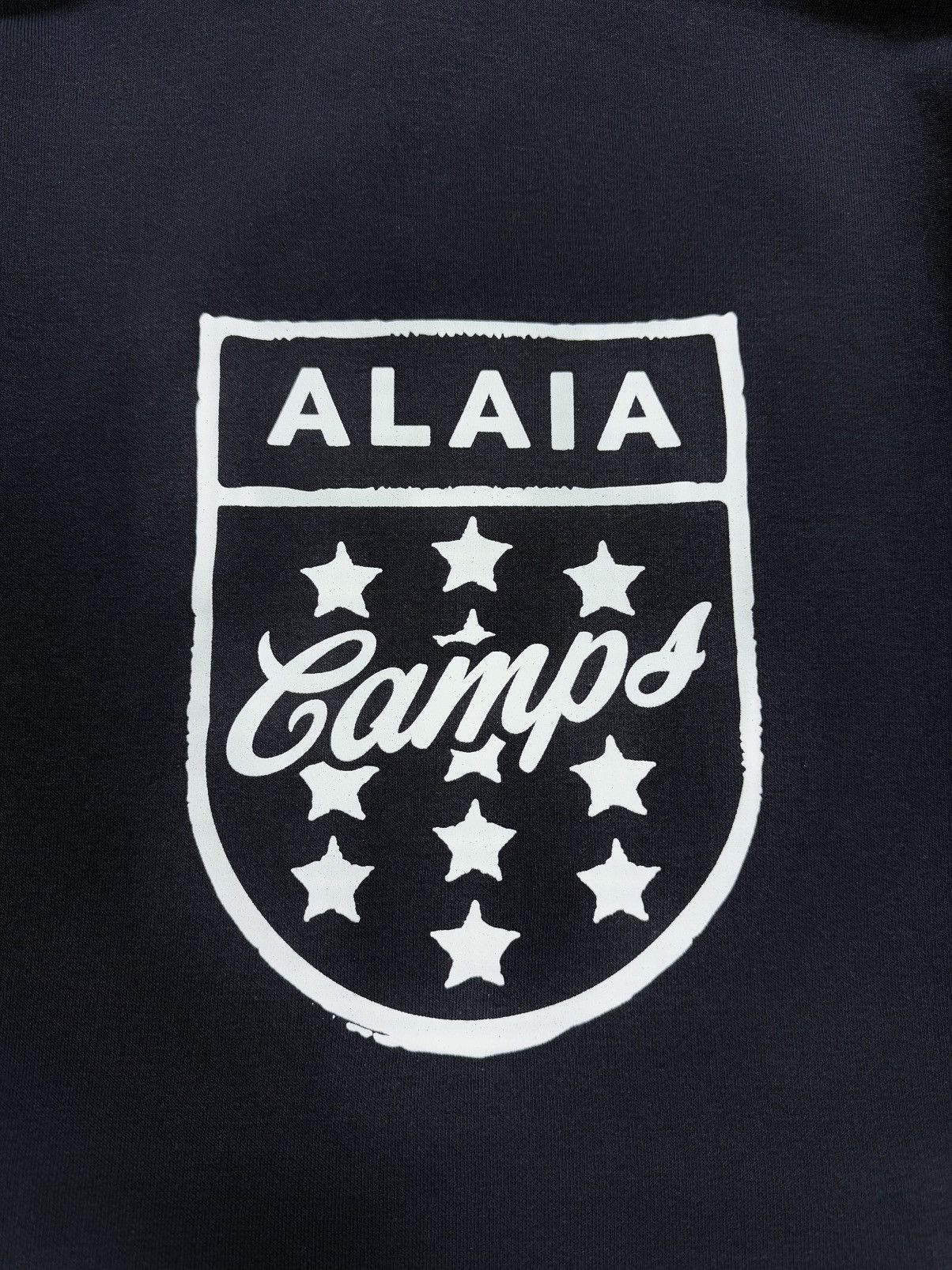 Alaia Alaia Camps Big Logo Hoodie Size S / US 4 / IT 40 - 7 Thumbnail