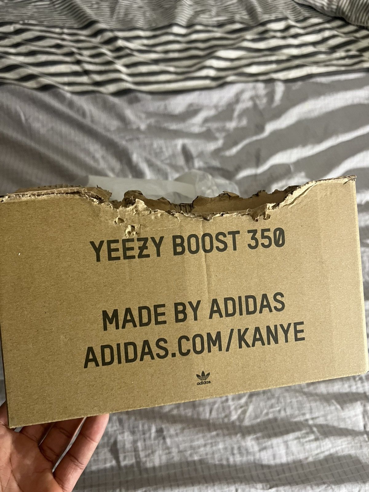 Adidas × Yeezy Yeezy Boost 350 V2 Size US 8.5 / EU 41-42 - 8 Thumbnail