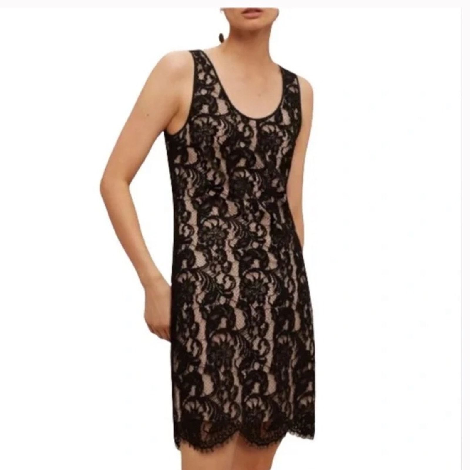 Wilfred lace dress sales
