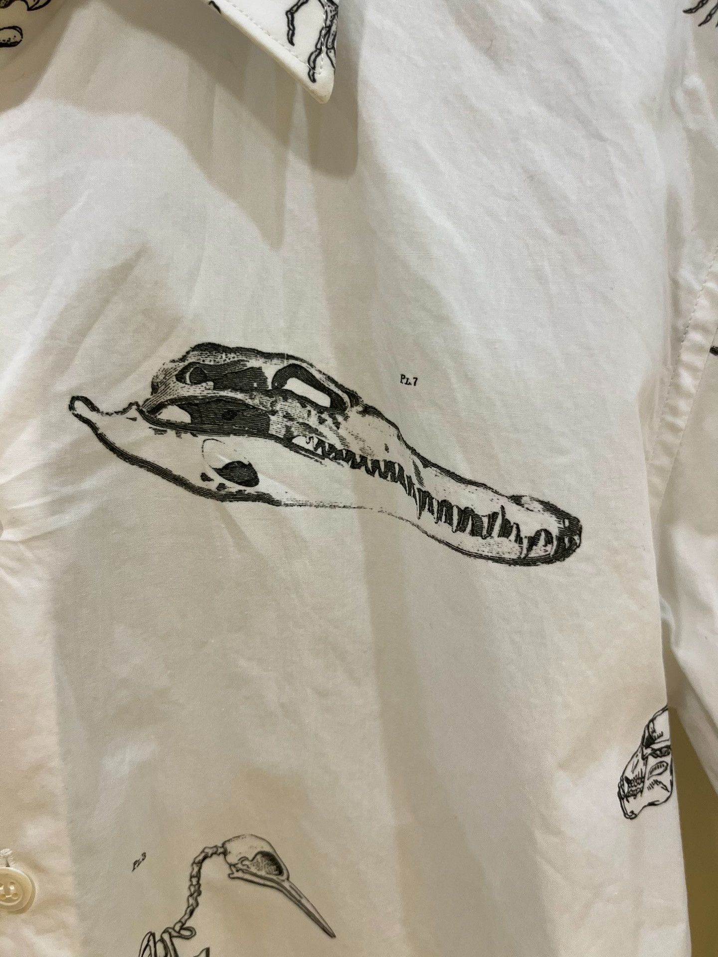Alexander McQueen Alexander McQueen Fossil Print White Shirt Size US M / EU 48-50 / 2 - 3 Thumbnail