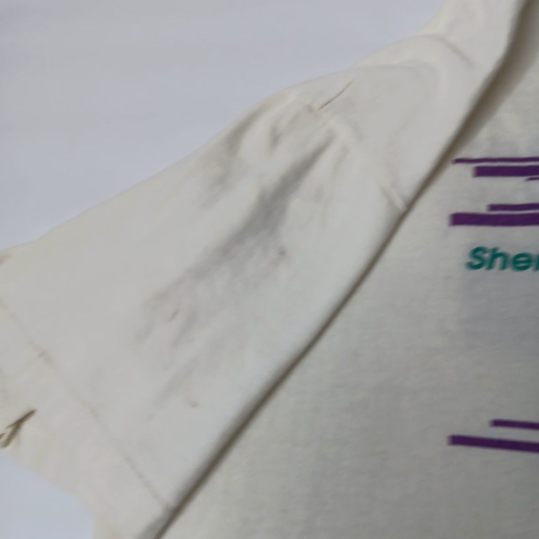 Hanes VINTAGE Hanes Heavyweight T-Shirt Road Cycling Shenandoah Valley Bike Festival 1999 White XL Men Graphic Print Shirt Mens Size US XL / EU 56 / 4 - 7 Thumbnail