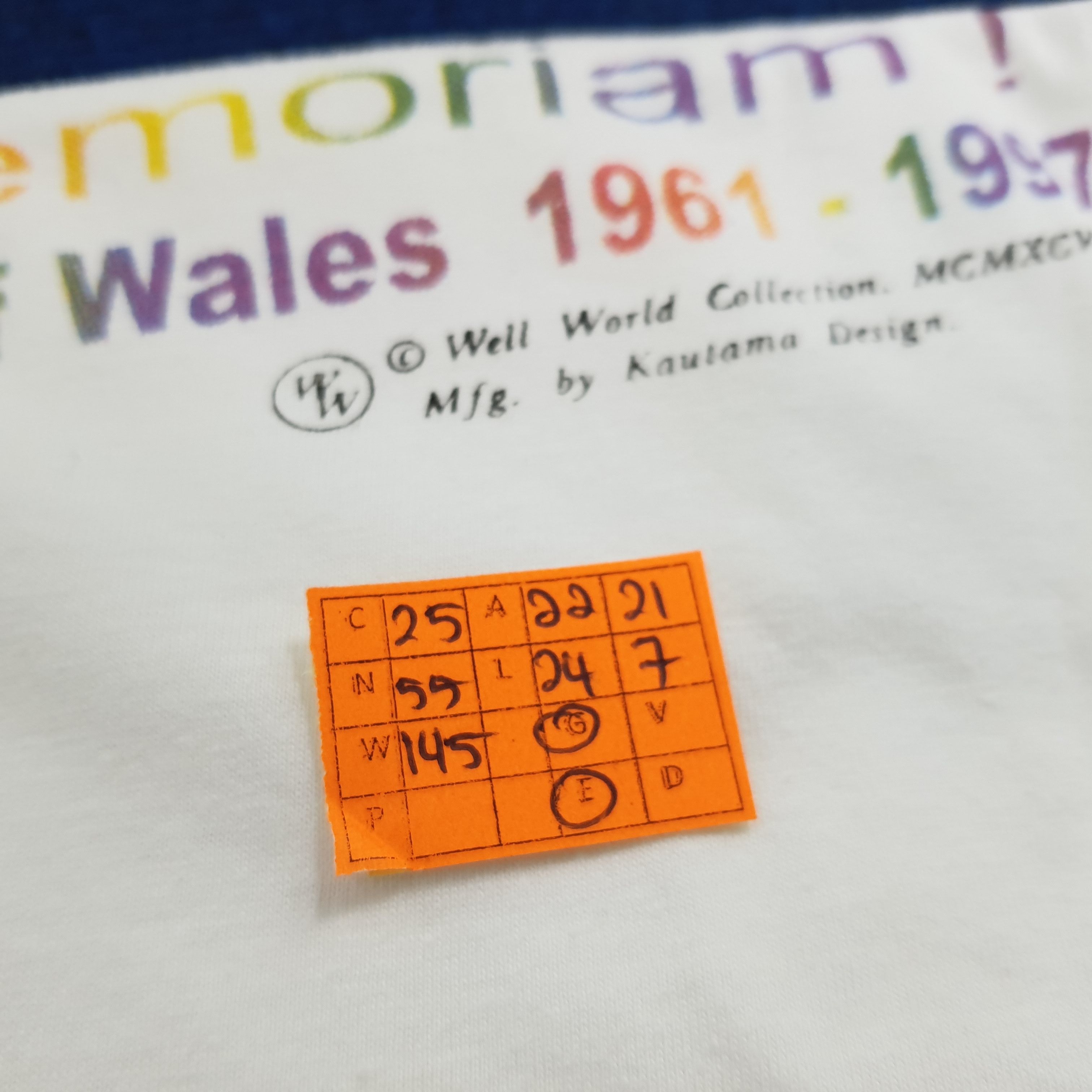 Other Diana Princess of Wales Tshirt Size US M / EU 48-50 / 2 - 7 Thumbnail