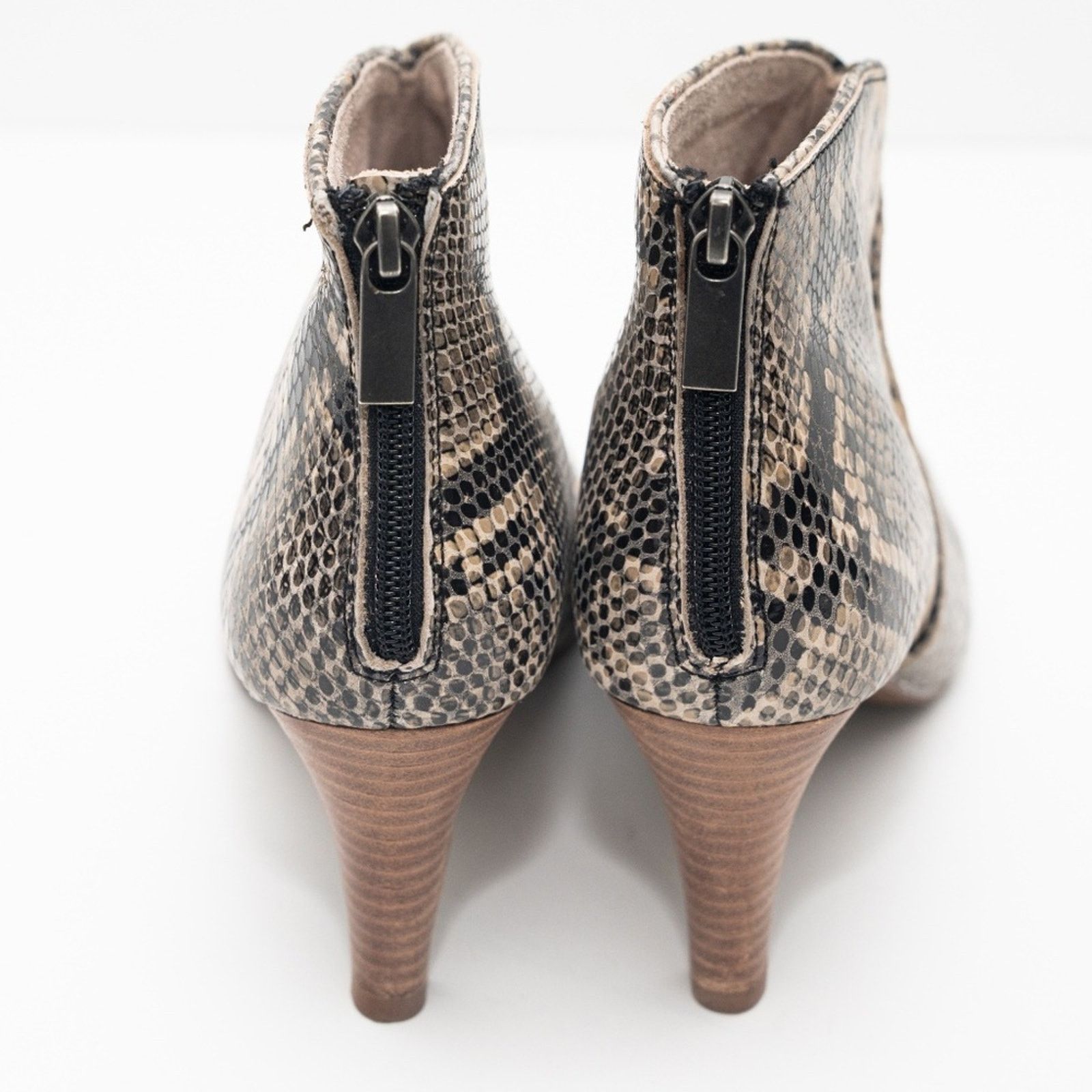 Seychelles Seychelles. New! Snake Heeled Ankle Boots. Size US 7 / IT 37 - 6 Thumbnail