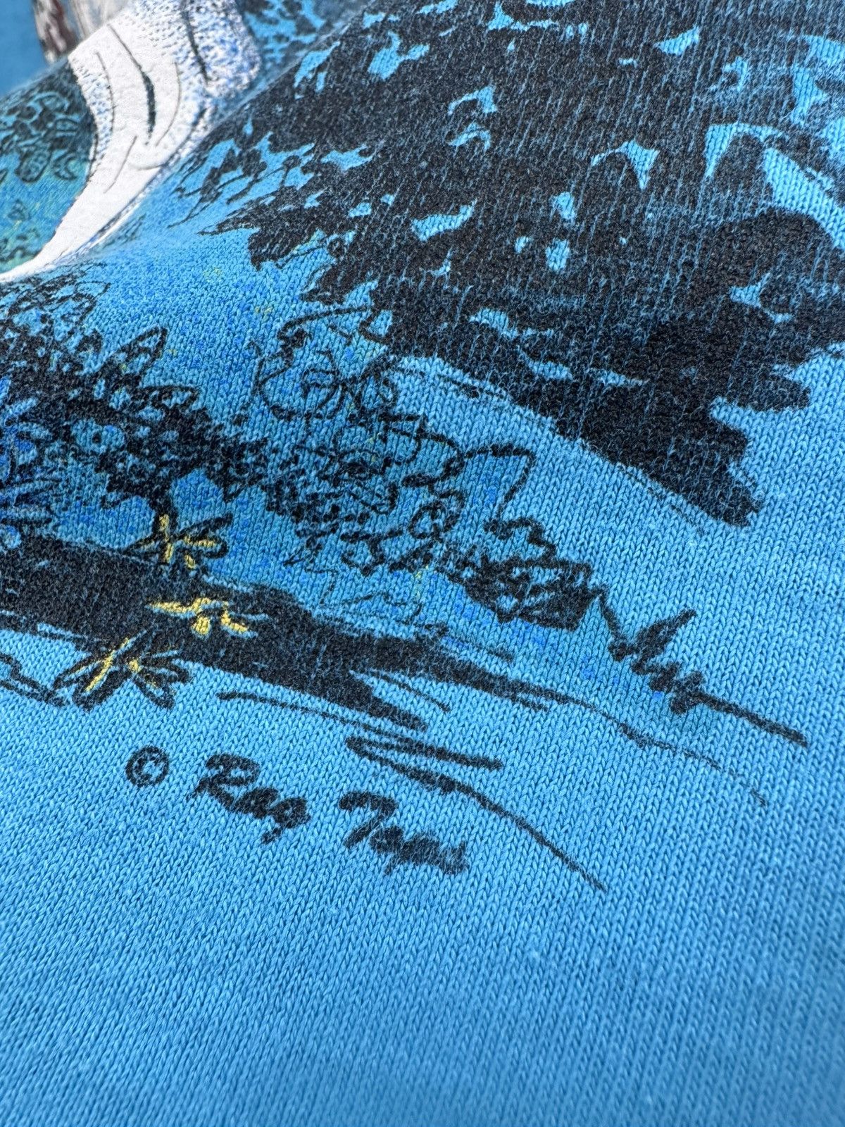 Hanes VINTAGE RAGTOP NATIVE AMERICAN INDIAN WOMEN Size US M / EU 48-50 / 2 - 6 Thumbnail