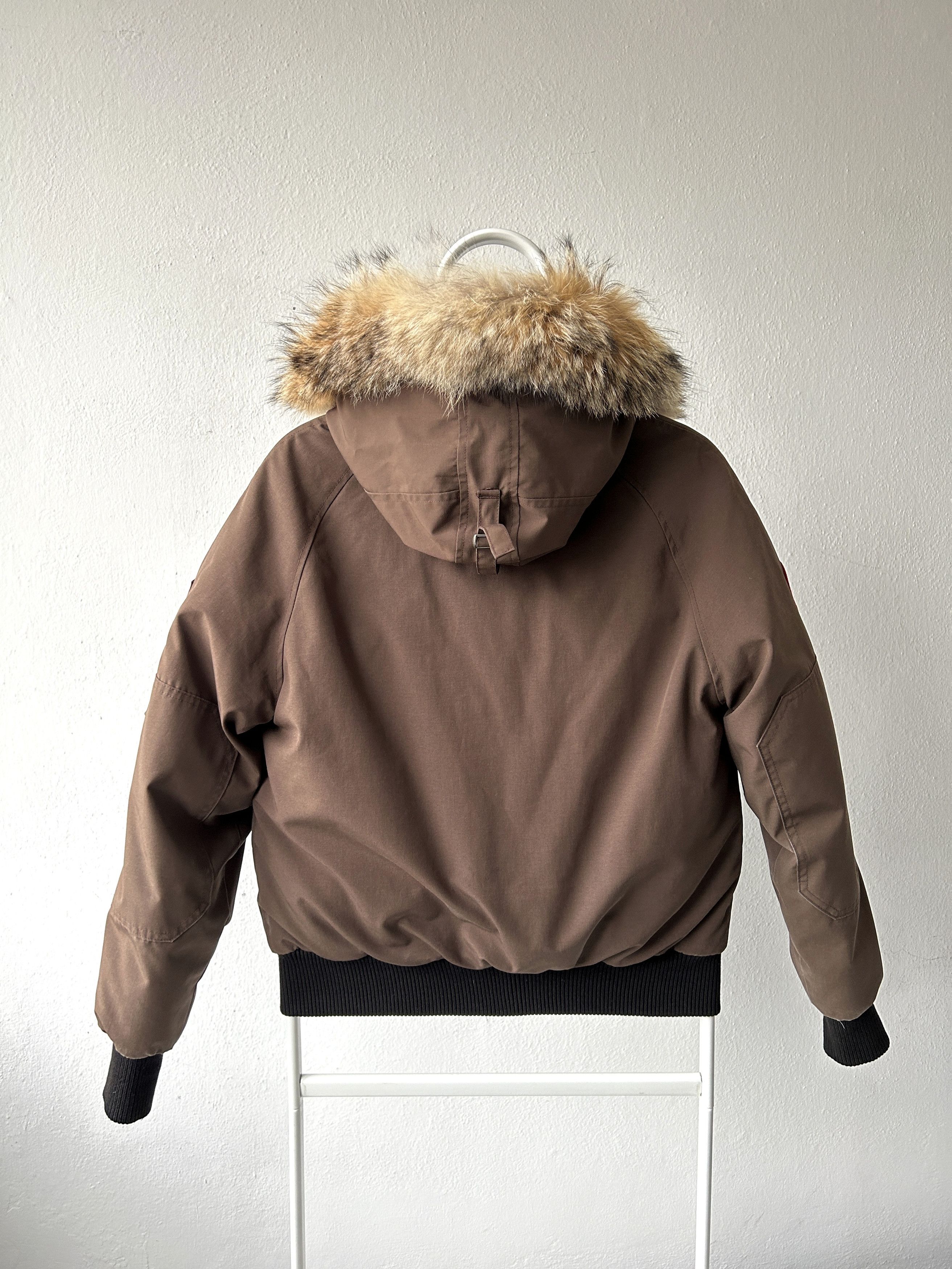 Canada Goose Canada goose chilliwack hooded bomber jacket Size M / US 6-8 / IT 42-44 - 3 Thumbnail