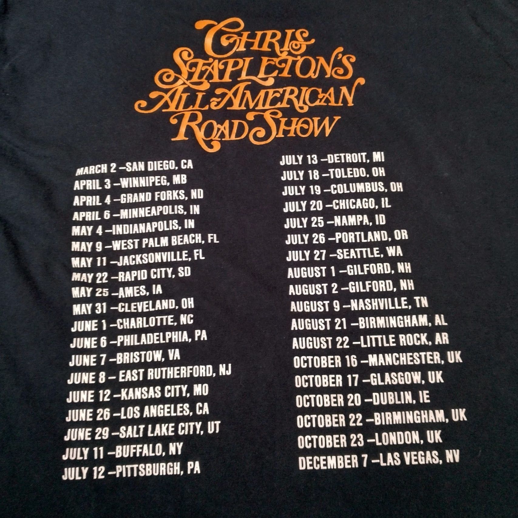 Gildan Chris Stapleton Tour Shirt L All American Road Show Black Desert Skull Cactus Shirt Men Size US L / EU 52-54 / 3 - 5 Thumbnail