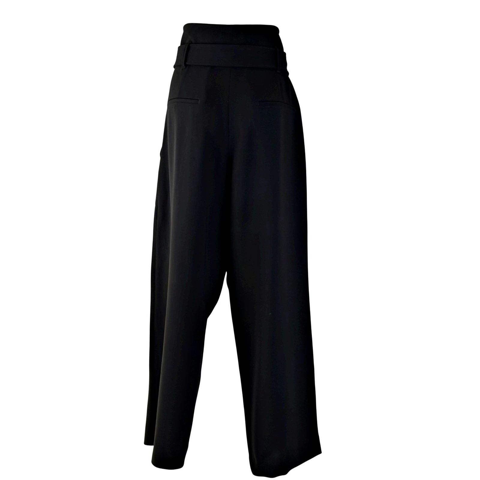 Aritzia Aritzia Babaton Power Pant Paper Bag Belted Trousers Size 34" / US 12 / IT 48 - 5 Thumbnail