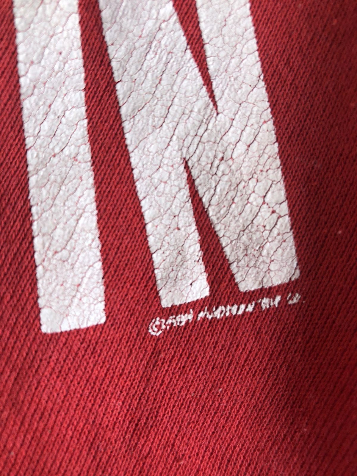 If Six Was Nine Wisconsin Fur Hoodie IfSixWasNine LGB style Size US XL / EU 56 / 4 - 6 Thumbnail