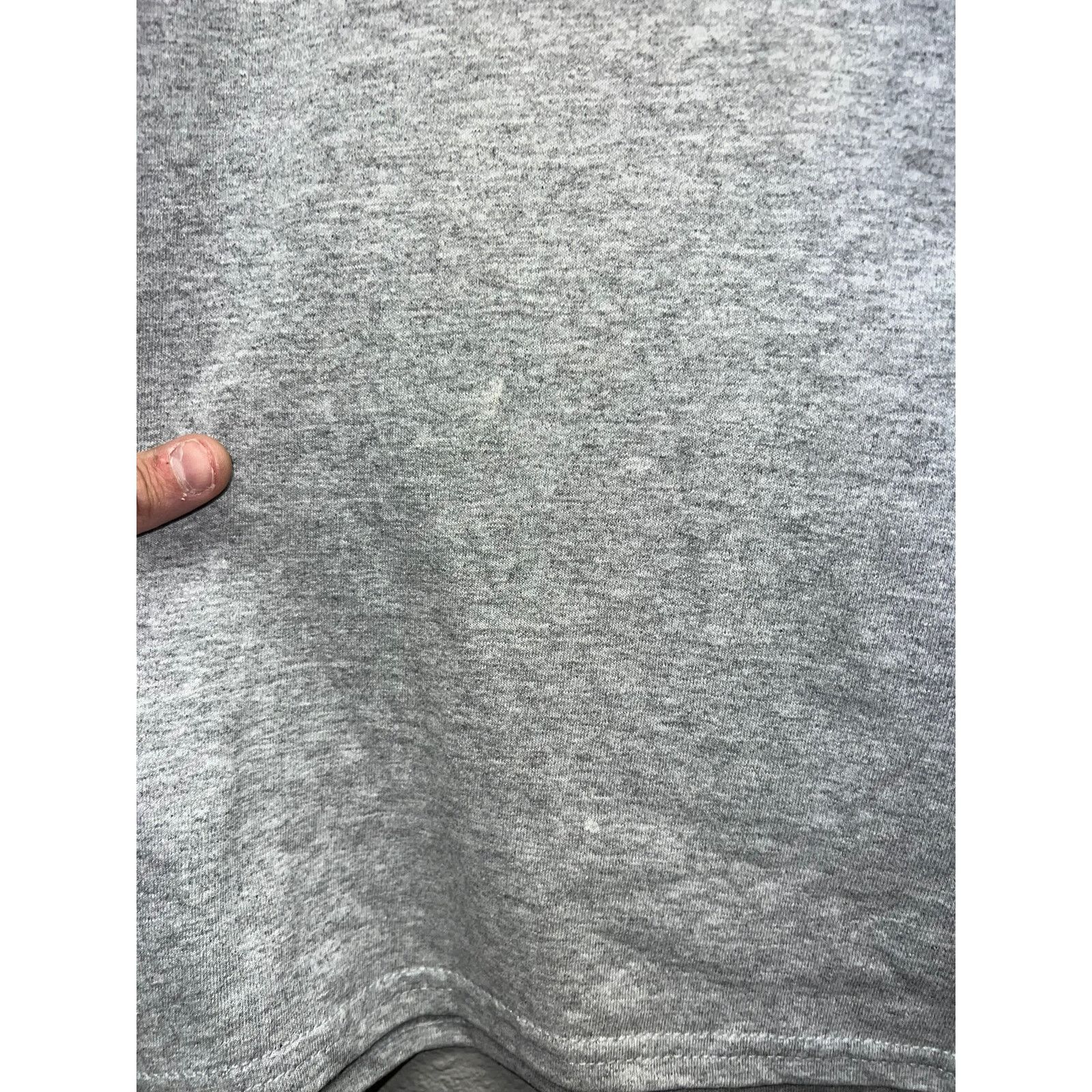 Gildan Alaska Shirt Princess Cruises Bald Eagle Gray Tee Gildan XL Size US XL / EU 56 / 4 - 7 Thumbnail