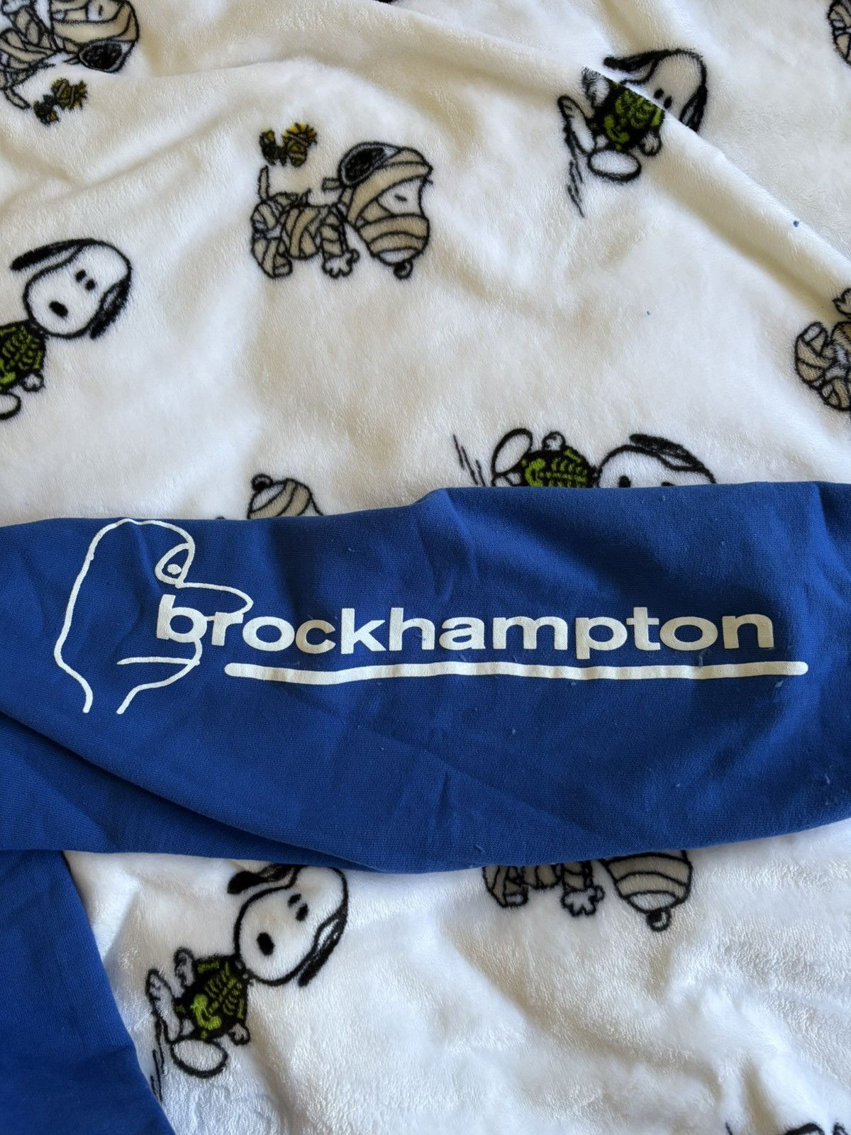 Brockhampton Brockhampton “TEAM EFFORT” hoodie Size US S / EU 44-46 / 1 - 4 Thumbnail