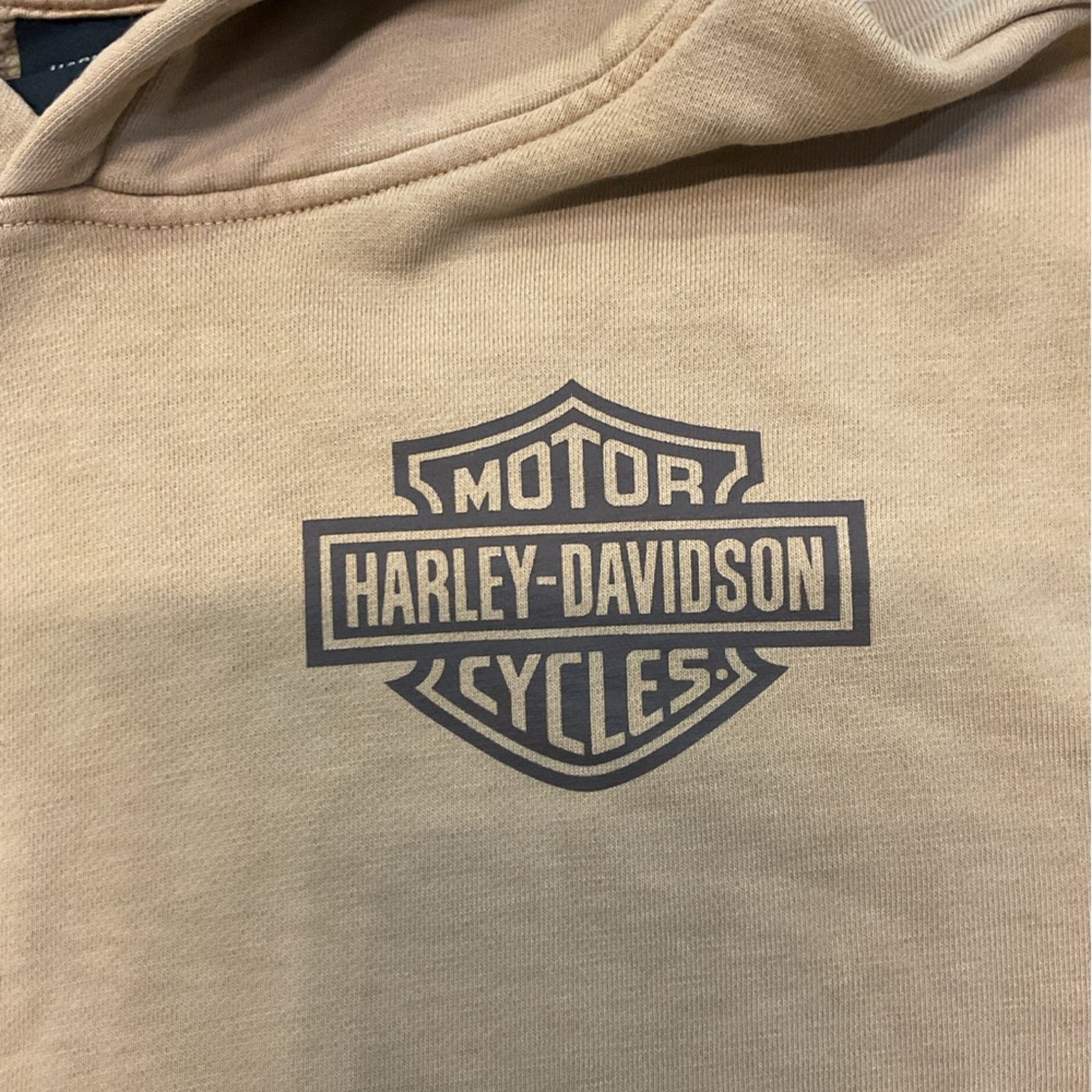 Harley Davidson Vintage Harley Davidson “Soars Alone” Brown Hoodie Size US XXL / EU 58 / 5 - 4 Thumbnail