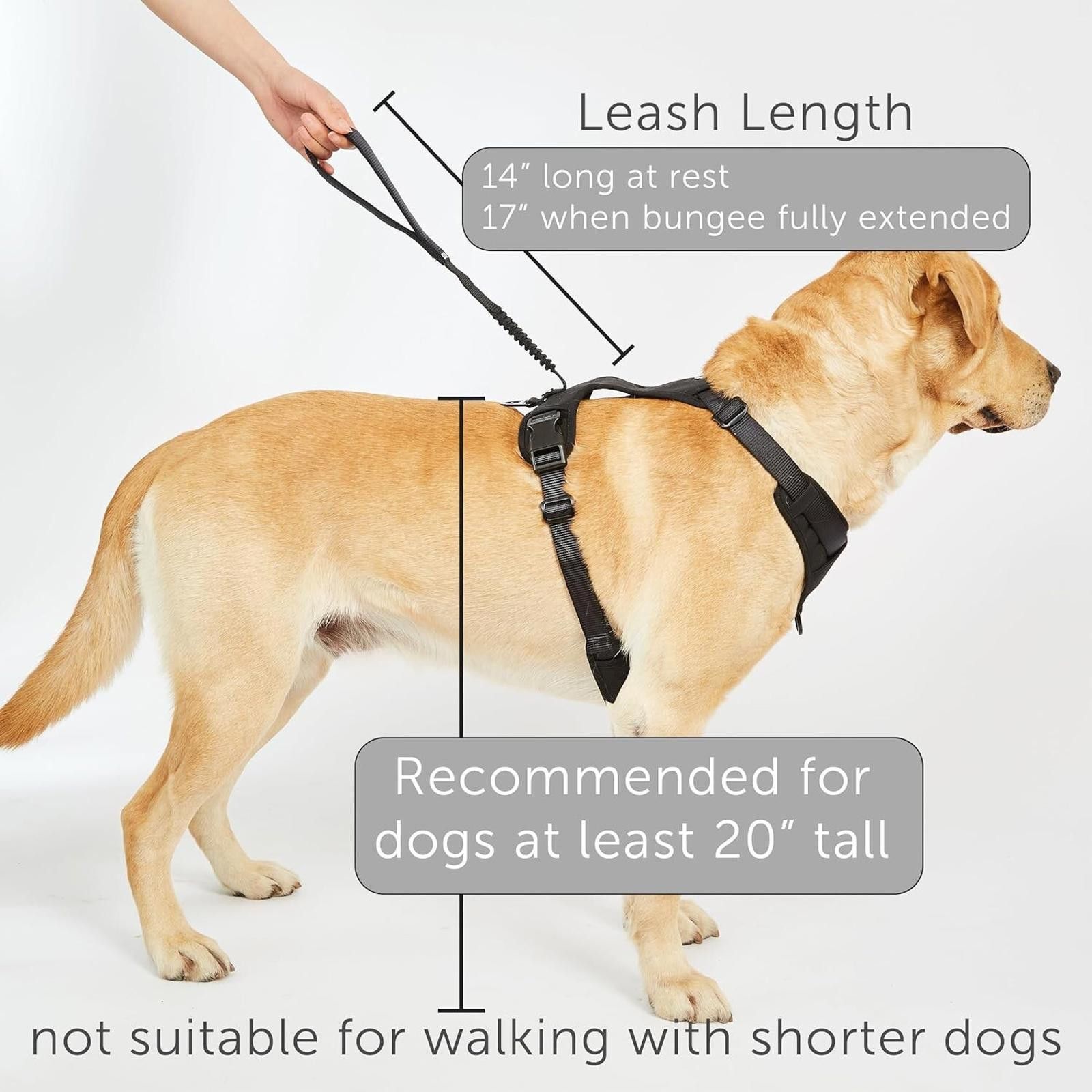 Designer Grab Dog Harness Integrated Traffic Leash Magnetic Attached Size ONE SIZE - 6 Thumbnail