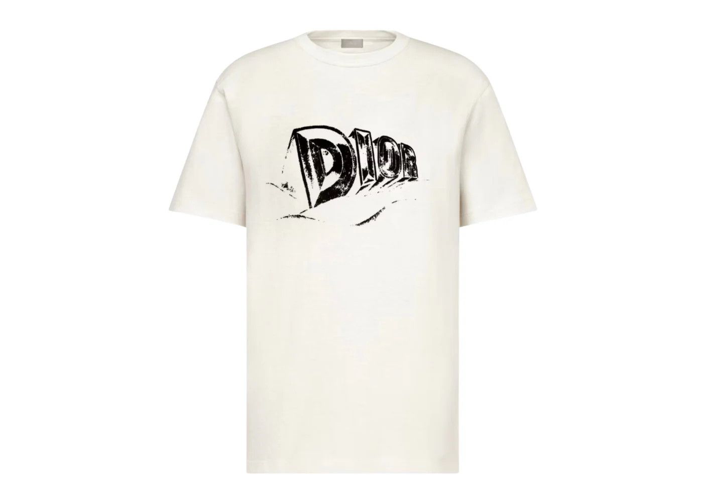 Dior o1w1db10924 Relaxed Fit Short Sleeve T-Shirt in White Size US L / EU 52-54 / 3 - 1 Thumbnail