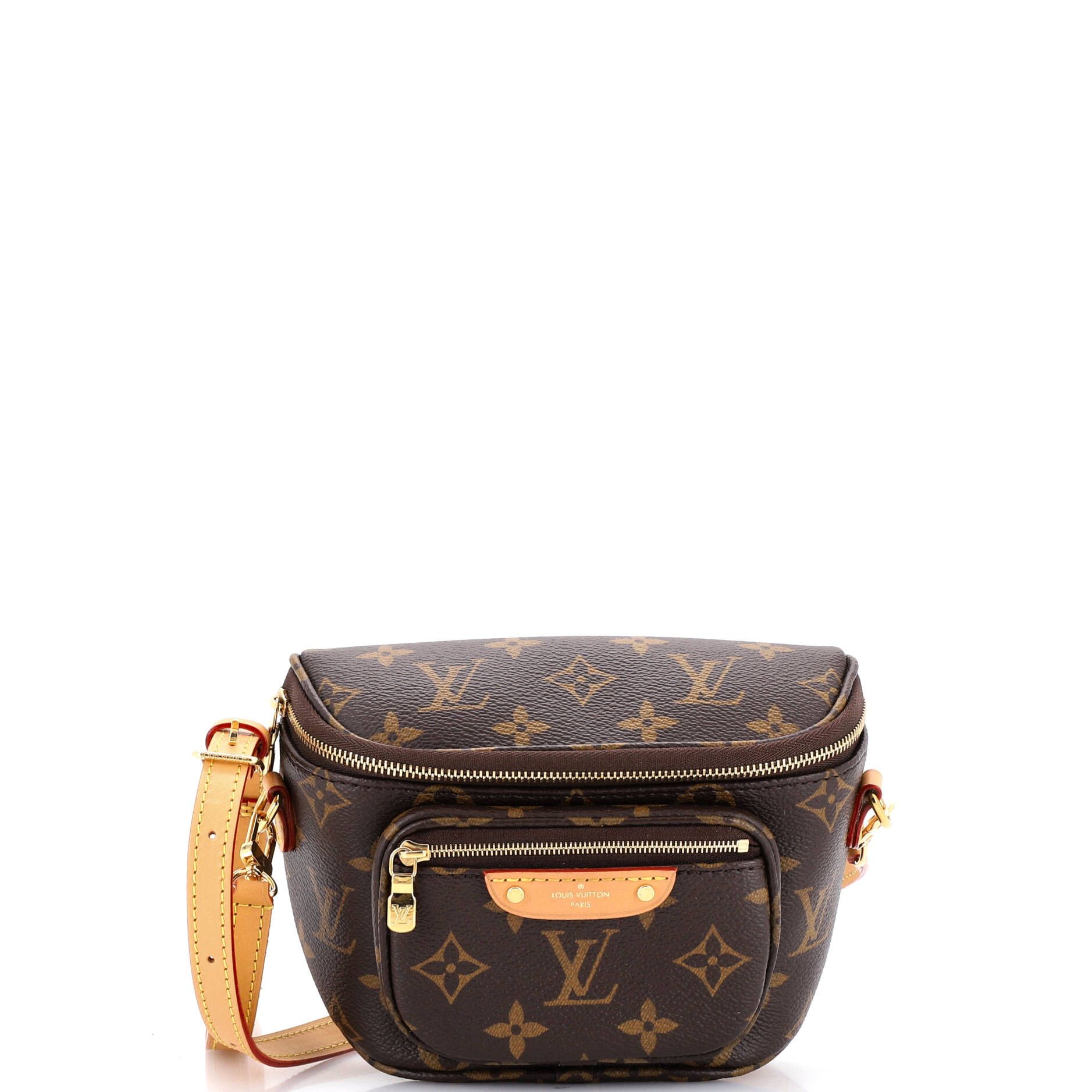 Louis Vuitton Bum Bag Size ONE SIZE - 1 Thumbnail