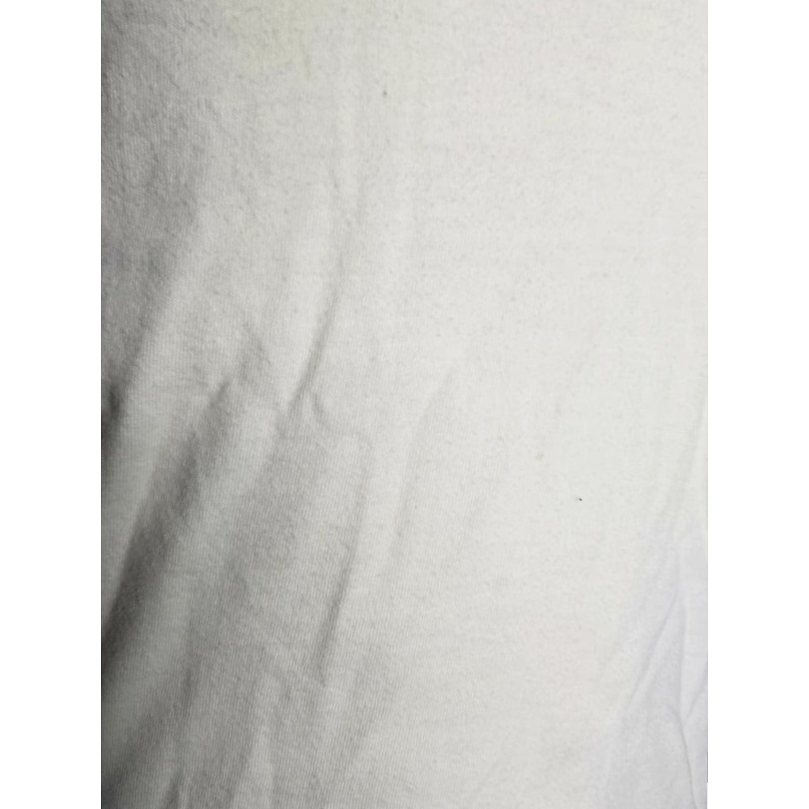 Hanes VINTAGE Hanes Mens S T-Shirt Beige Crew Neck Short Sleeve Cotton Carpe Diocese of FL Butterfly Jesus Fishing 90s Christian 2000s Y2K Size US S / EU 44-46 / 1 - 3 Thumbnail