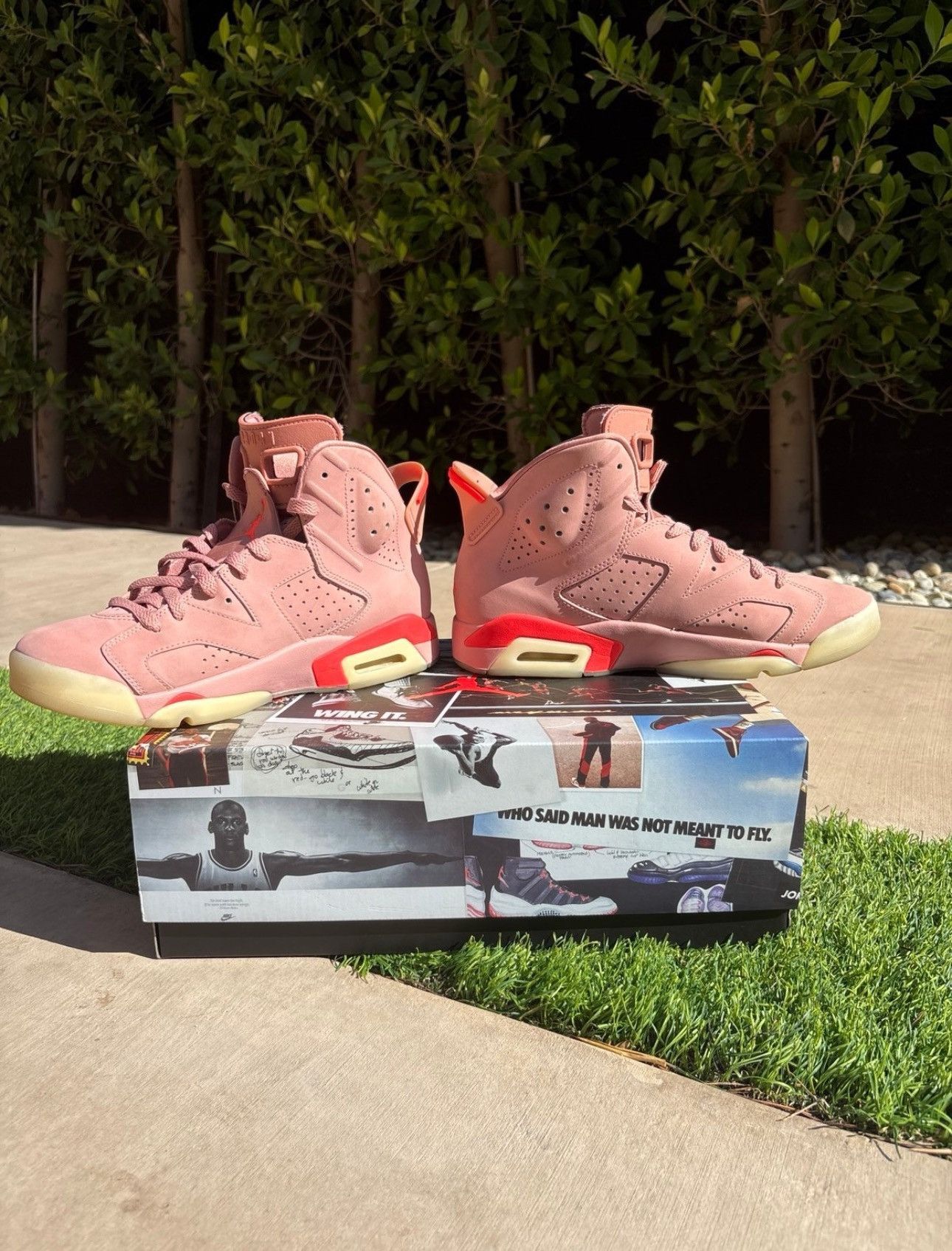 Jordan Brand Jordan 6 Retro “Aleali May” 2019 Size US 8.5 / EU 41-42 - 2 Thumbnail