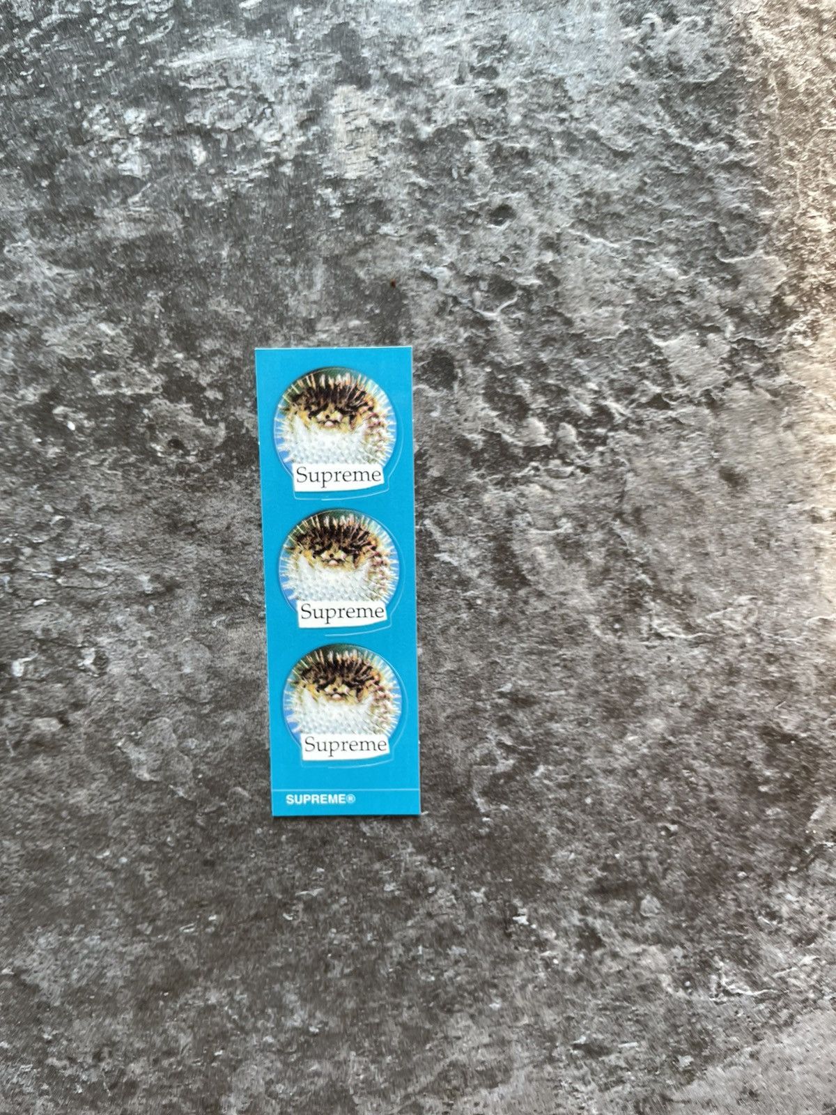 Supreme Supreme Puffer Fish 3 Mini-Sticker Set SS23 in Ocean Blue Size ONE SIZE - 2 Thumbnail