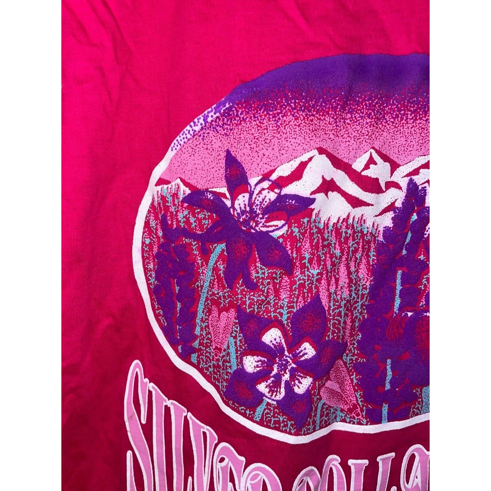 Jerzees Vintage Silver Dollar City Shirt Flower Pink 90s Tee VTG M Size US M / EU 48-50 / 2 - 2 Thumbnail