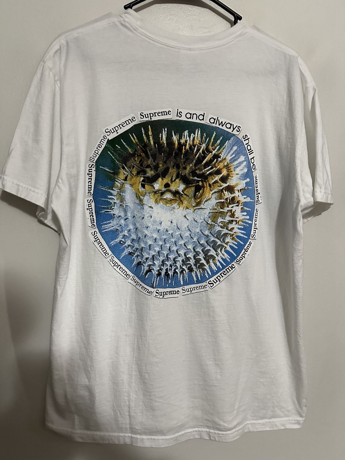 Supreme Supreme Blowfish Tee Size US M / EU 48-50 / 2 - 1 Thumbnail