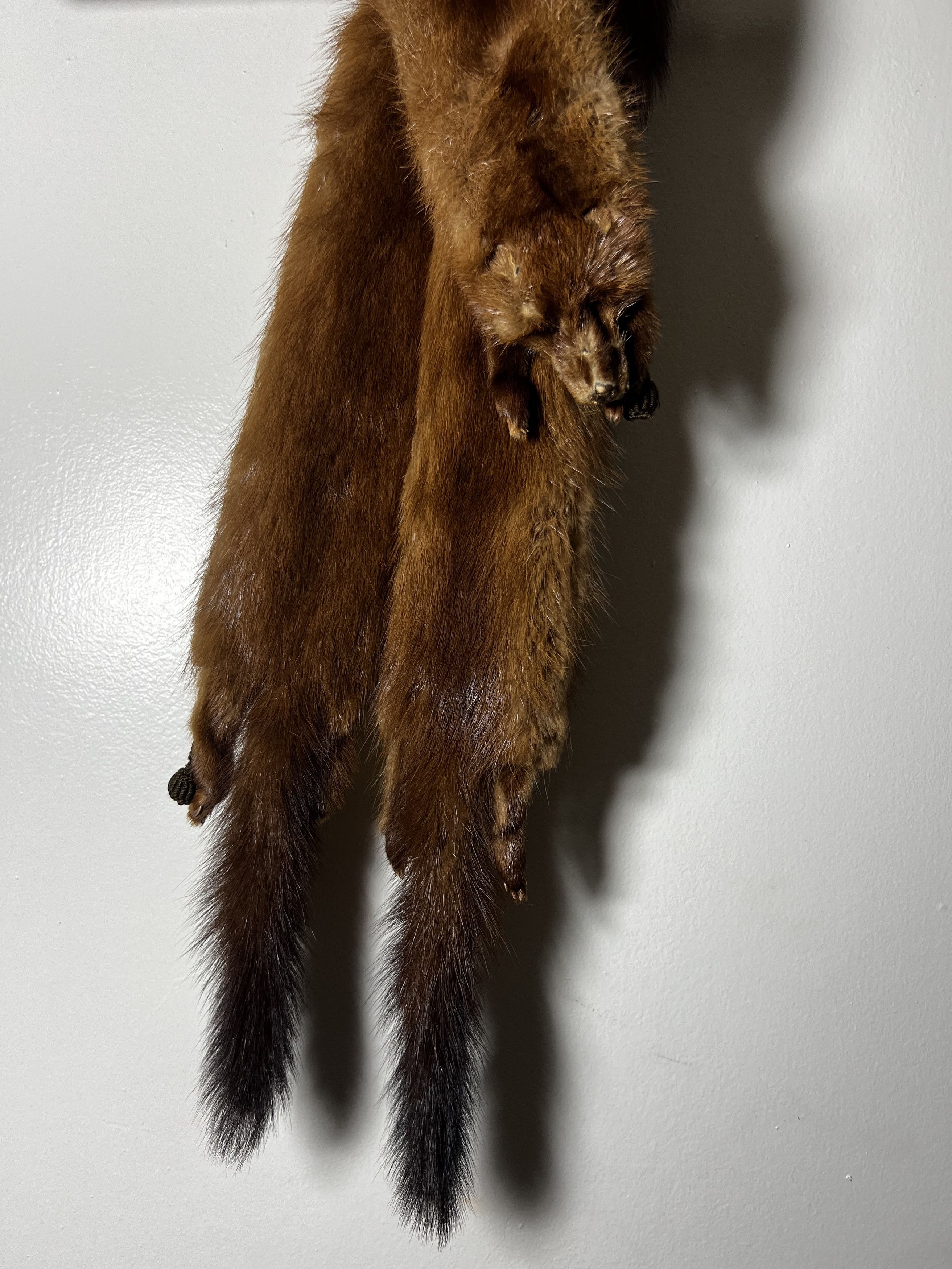 Other × Vintage Vintage 40's-50's Fur Taxidermy Pelt Collar - Mink Stole Size ONE SIZE - 2 Thumbnail