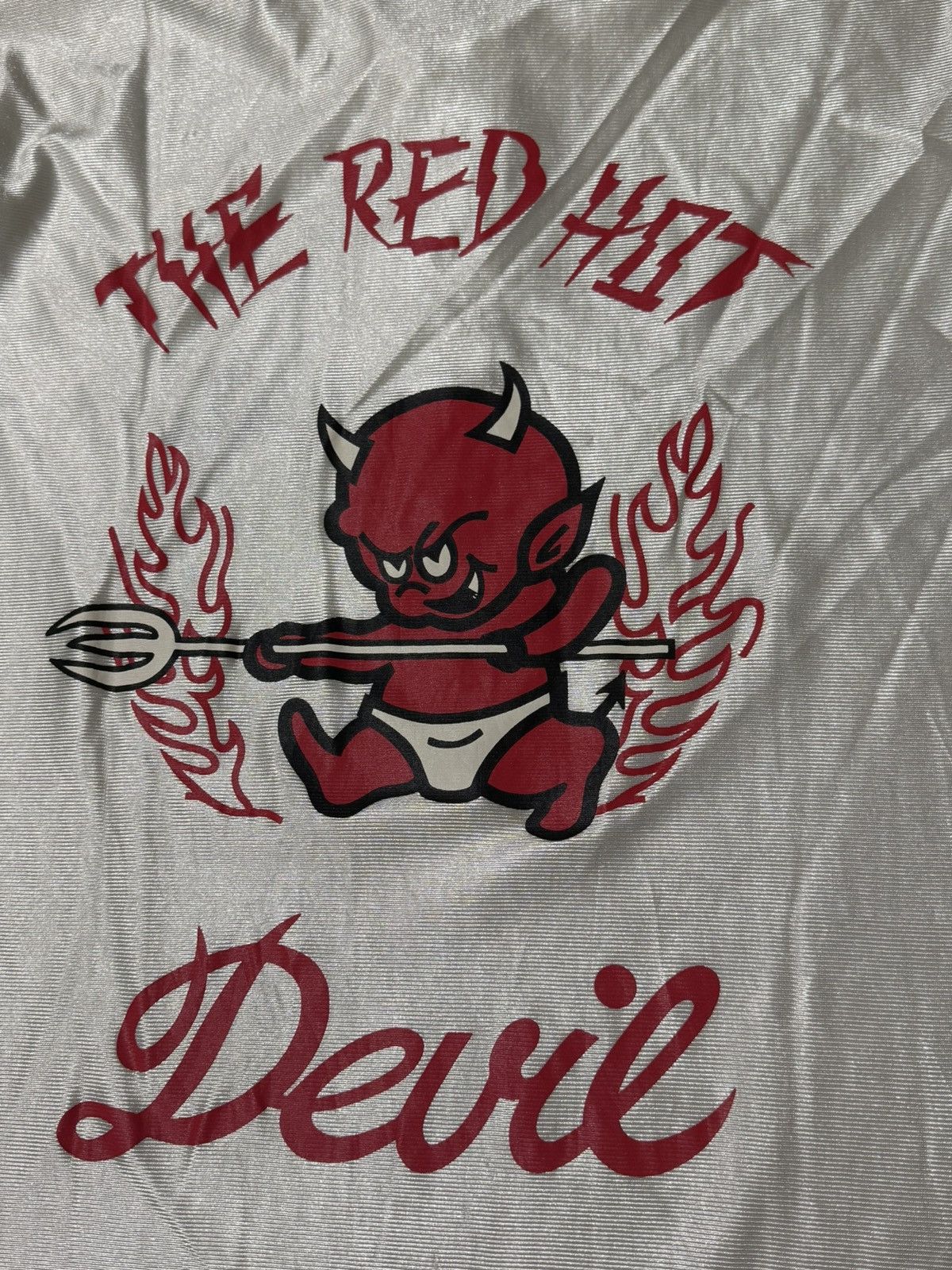 Dogtown Vintage 90’s dogtown jersey - the red hot devils y2k style Size US XXL / EU 58 / 5 - 3 Thumbnail