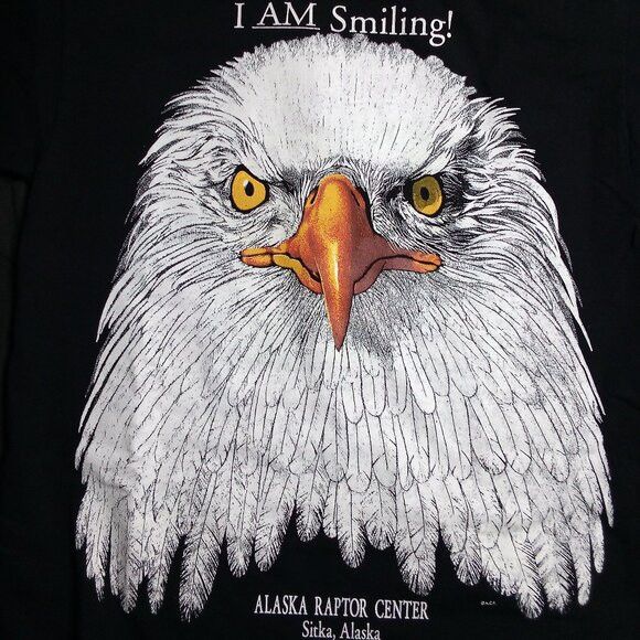 Vintage Vintage Eagle Face Alaska Raptor Center T-Shirt Size US M / EU 48-50 / 2 - 1 Thumbnail