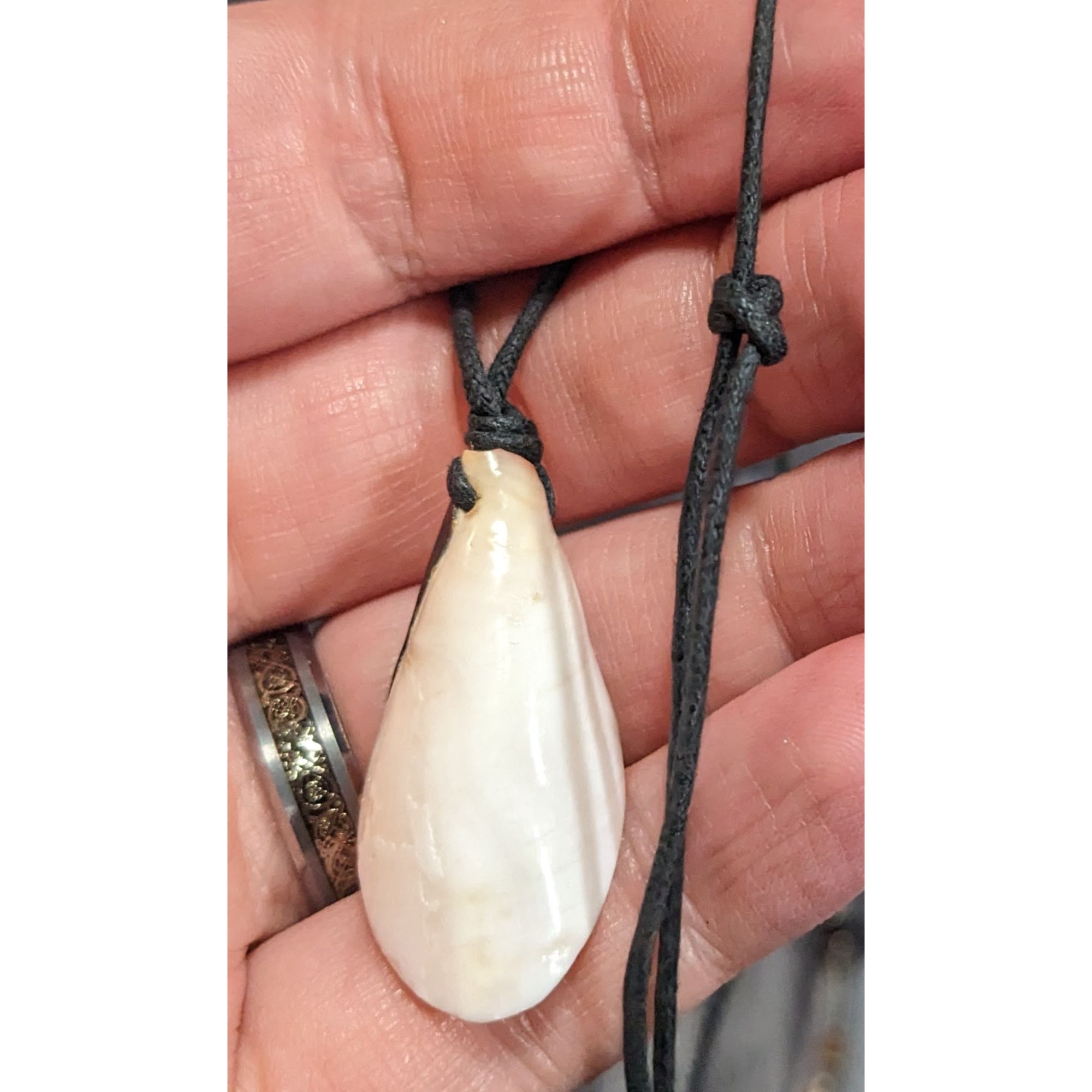 Other Retro Mermaidcore Sliced Shell Pendant Necklace Size ONE SIZE - 4 Thumbnail