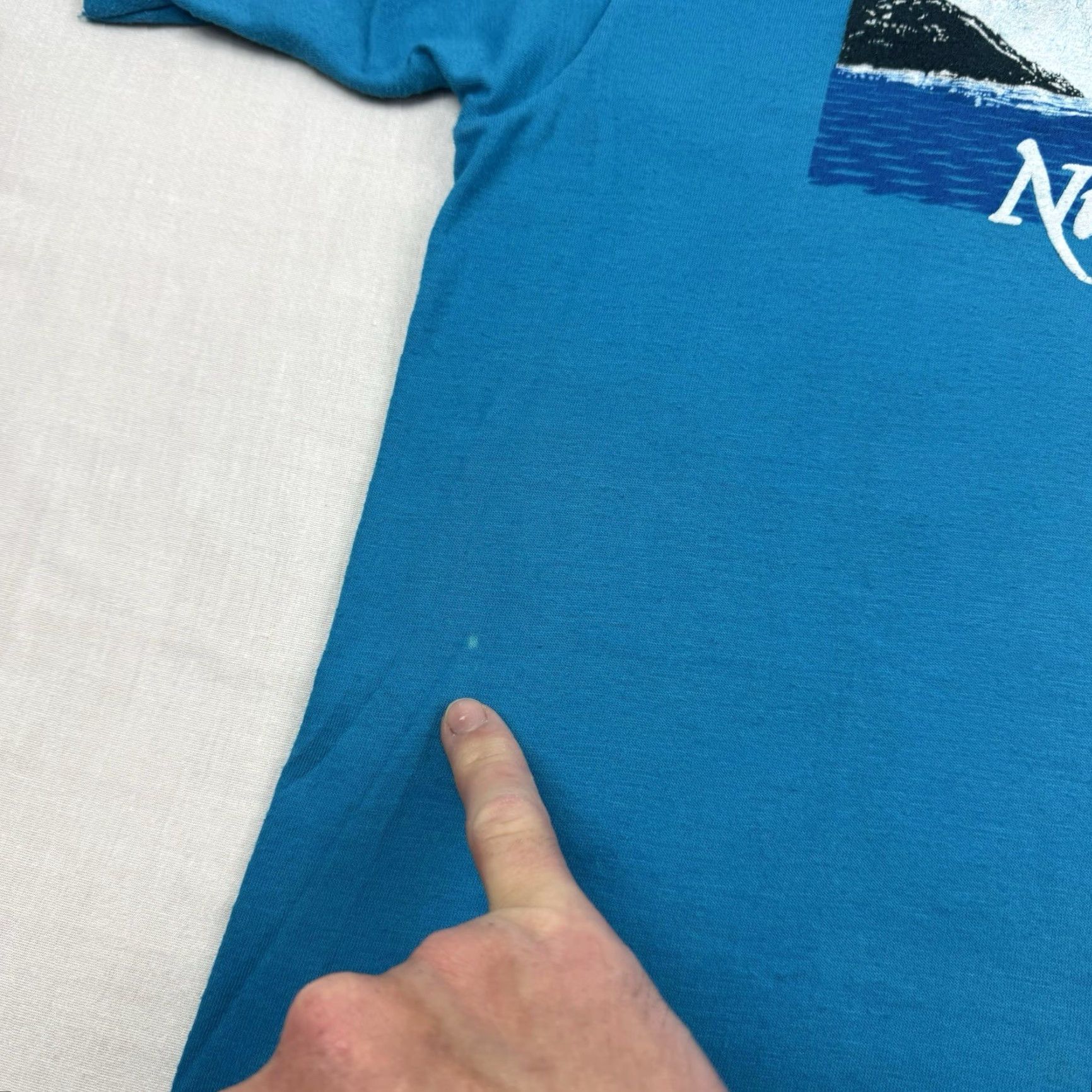 Hanes VINTAGE Niagara Falls T Shirt Men Large Blue Waterfall Nature 1980s Hanes Crew Neck Short Sleeve 80s Size US L / EU 52-54 / 3 - 6 Thumbnail